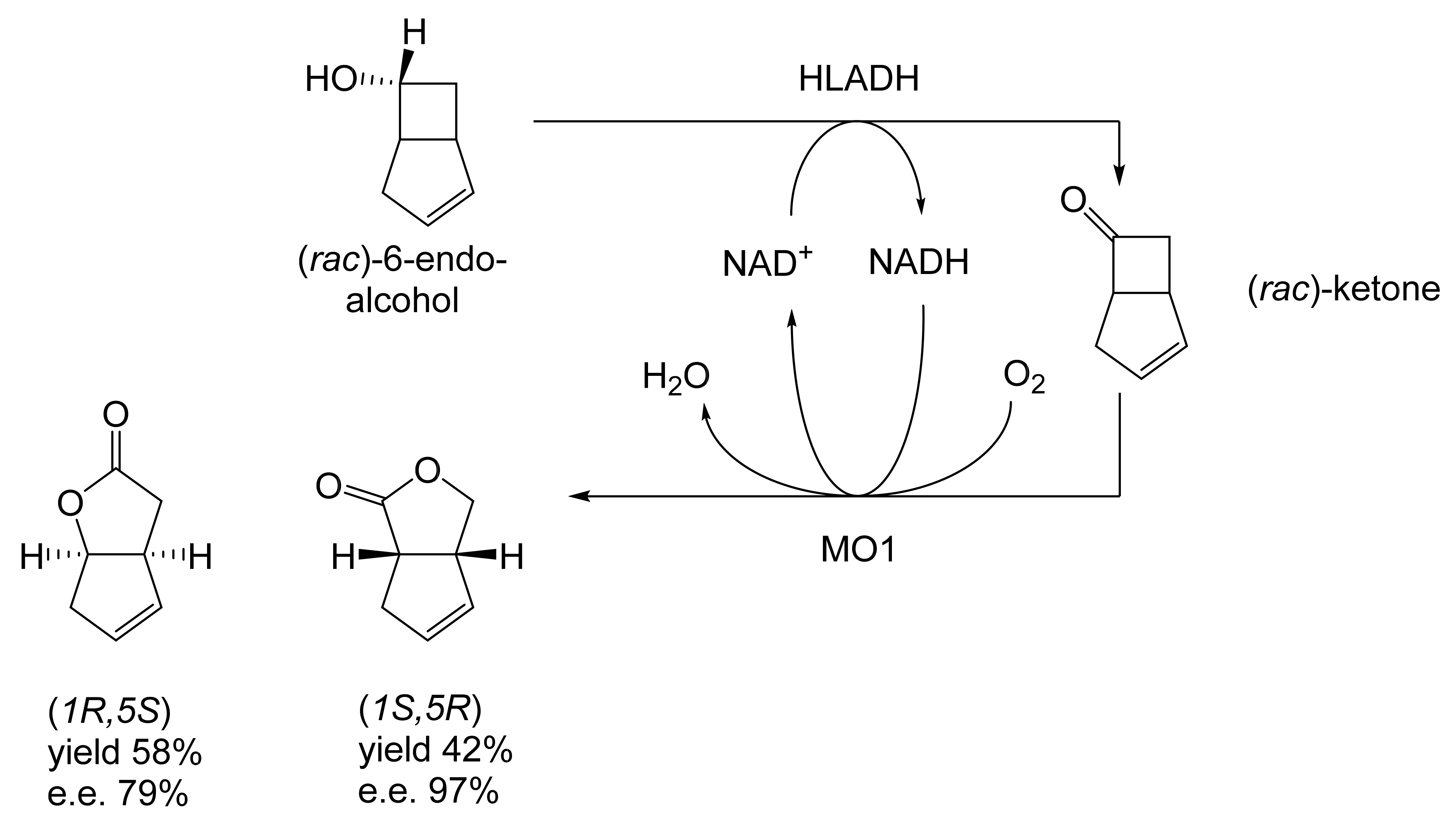 Molecules 28 07249 g016 Molecules 28 07249 g016