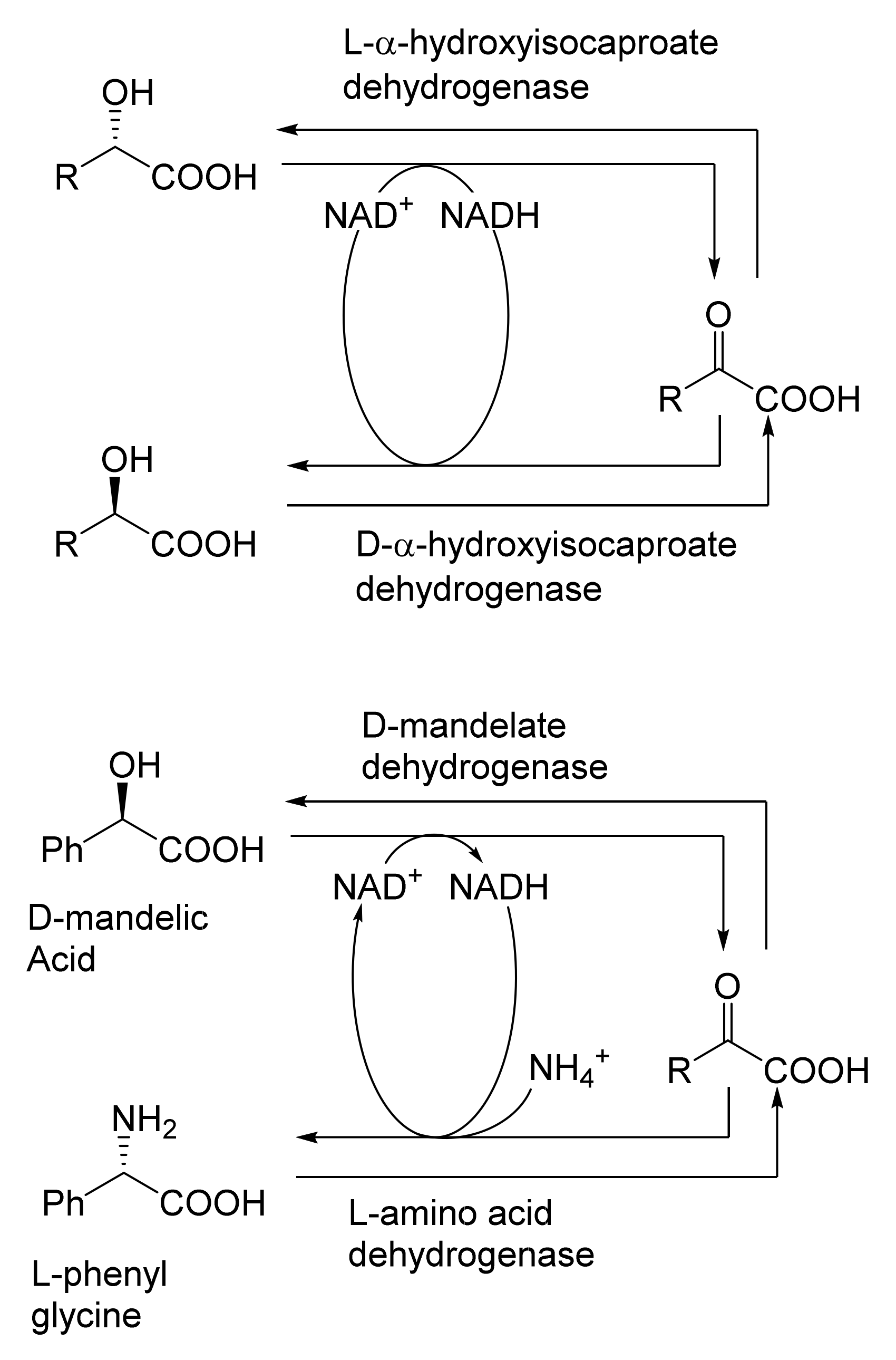 Molecules 28 07249 g020 Molecules 28 07249 g020
