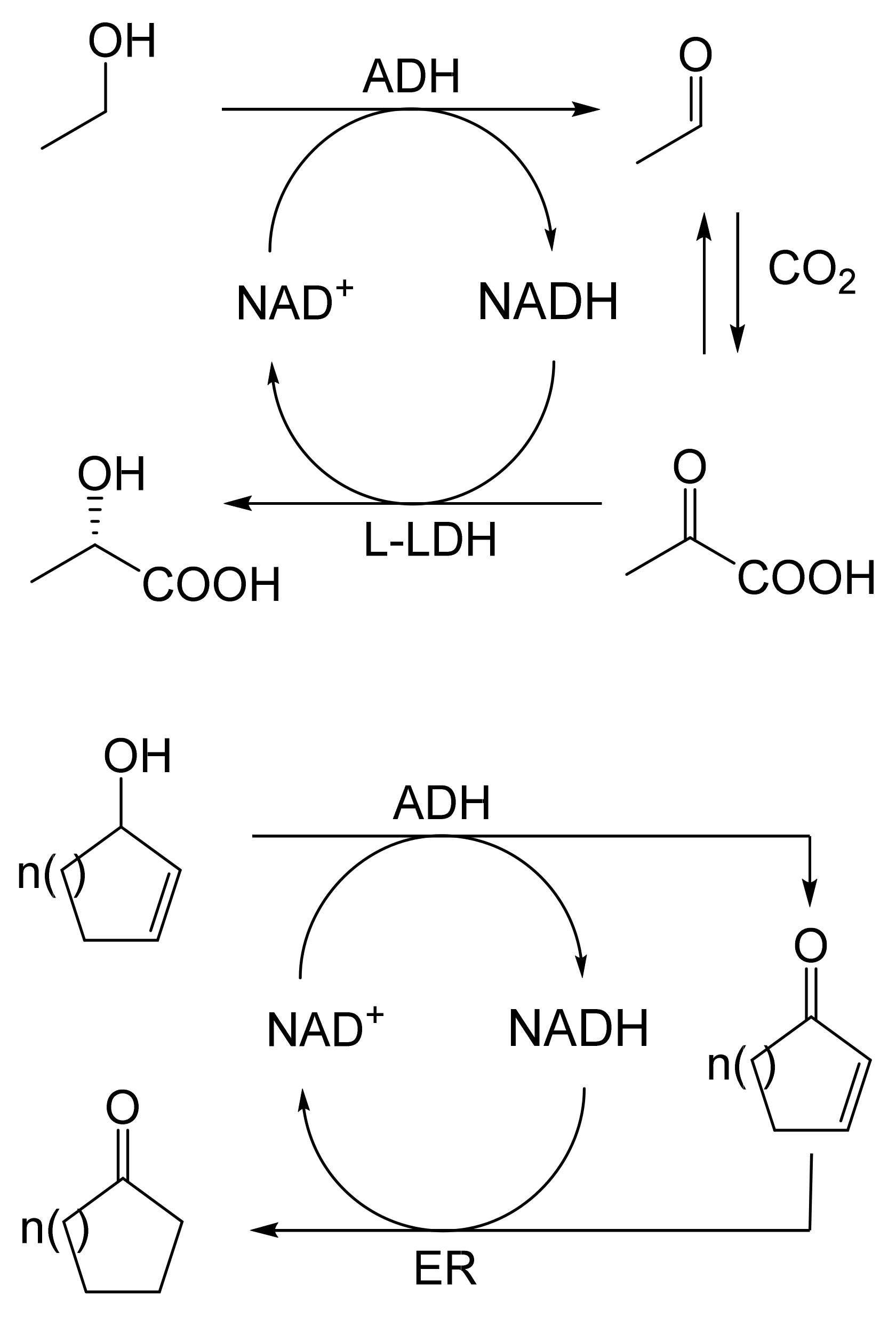 Molecules 28 07249 g021 Molecules 28 07249 g021