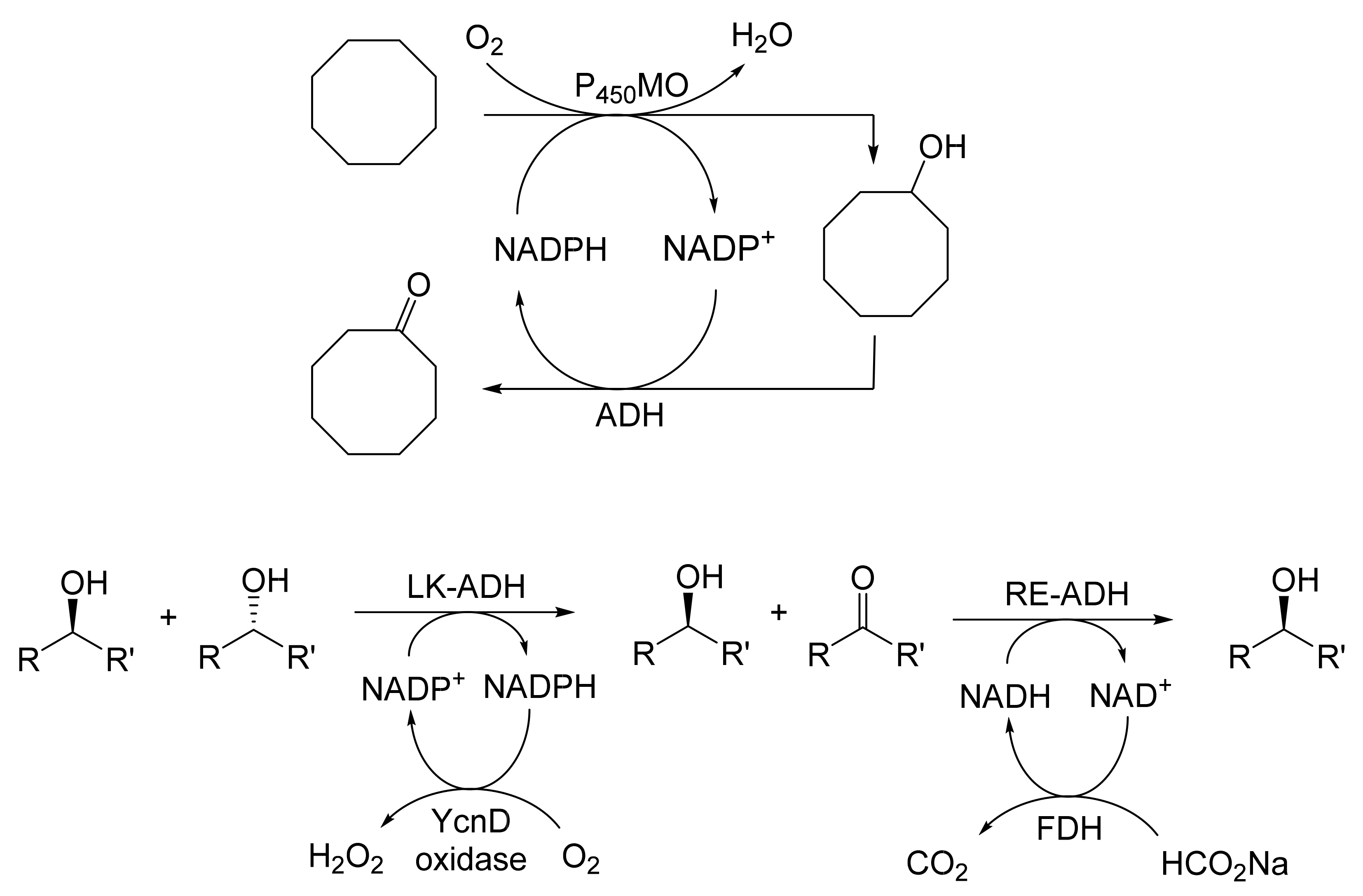 Molecules 28 07249 g022 Molecules 28 07249 g022