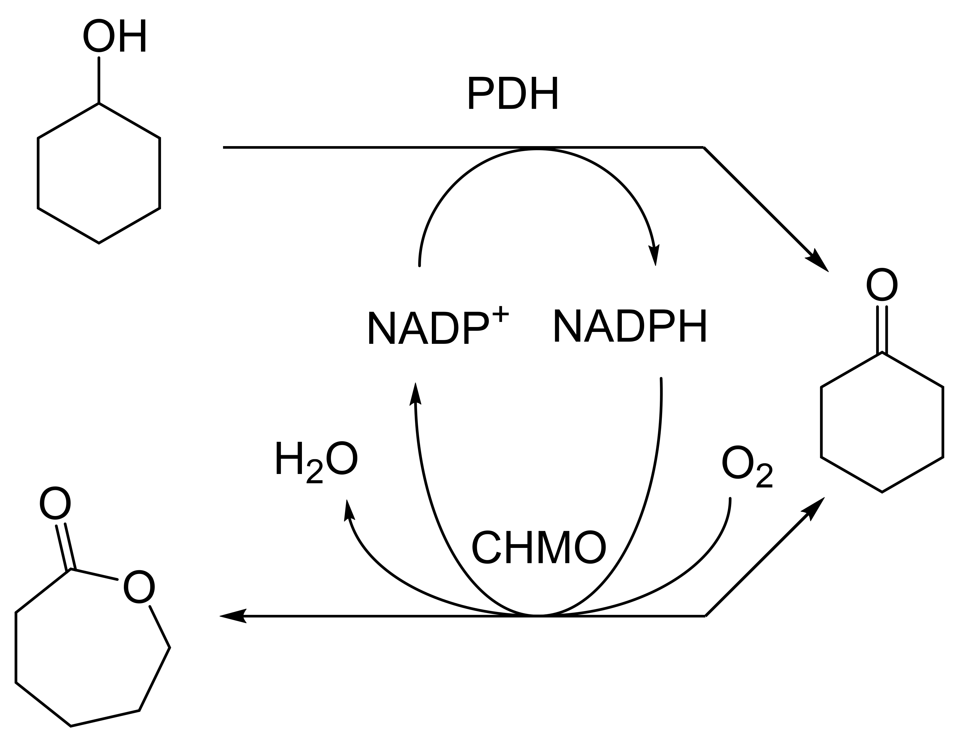 Molecules 28 07249 g023 Molecules 28 07249 g023