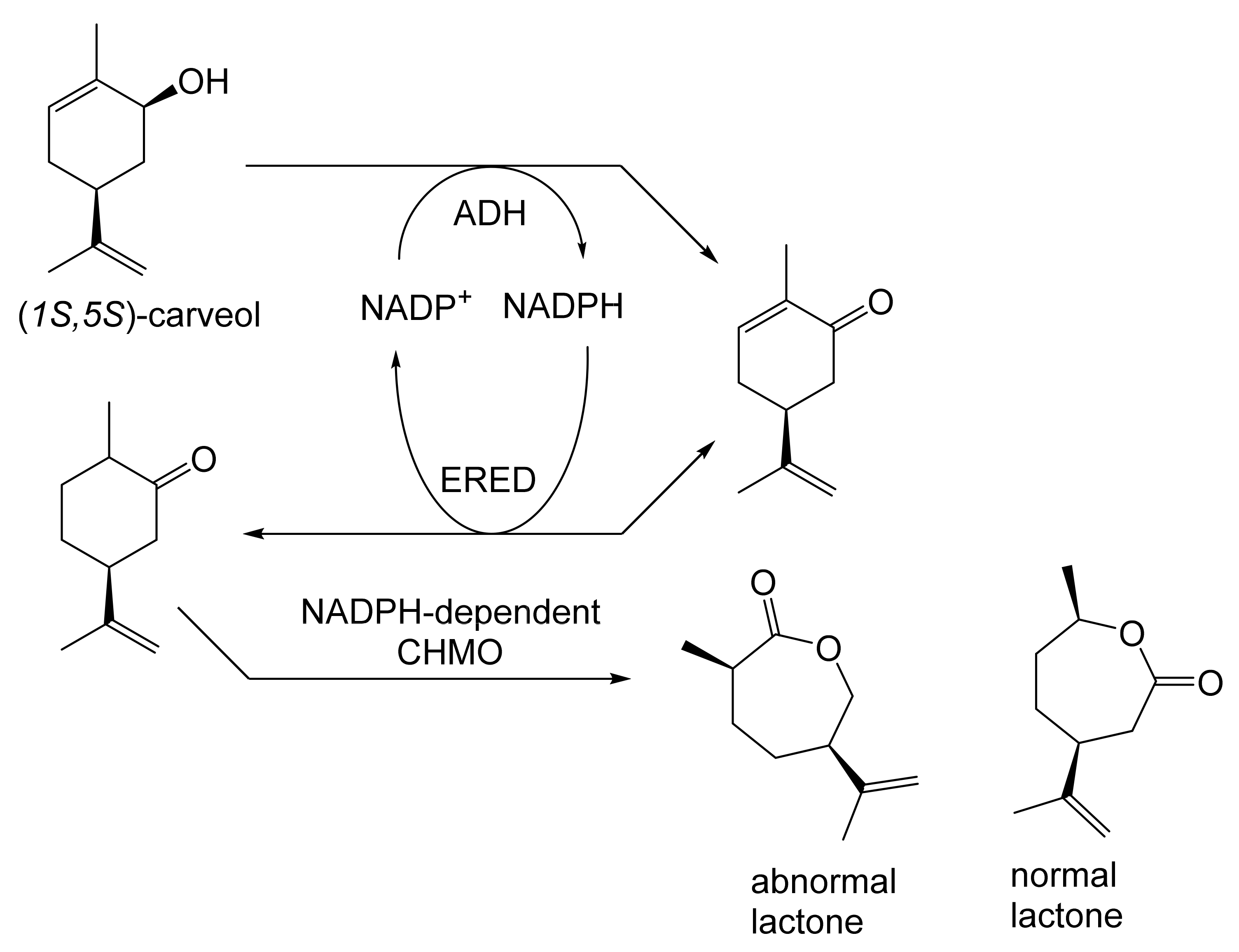 Molecules 28 07249 g024 Molecules 28 07249 g024