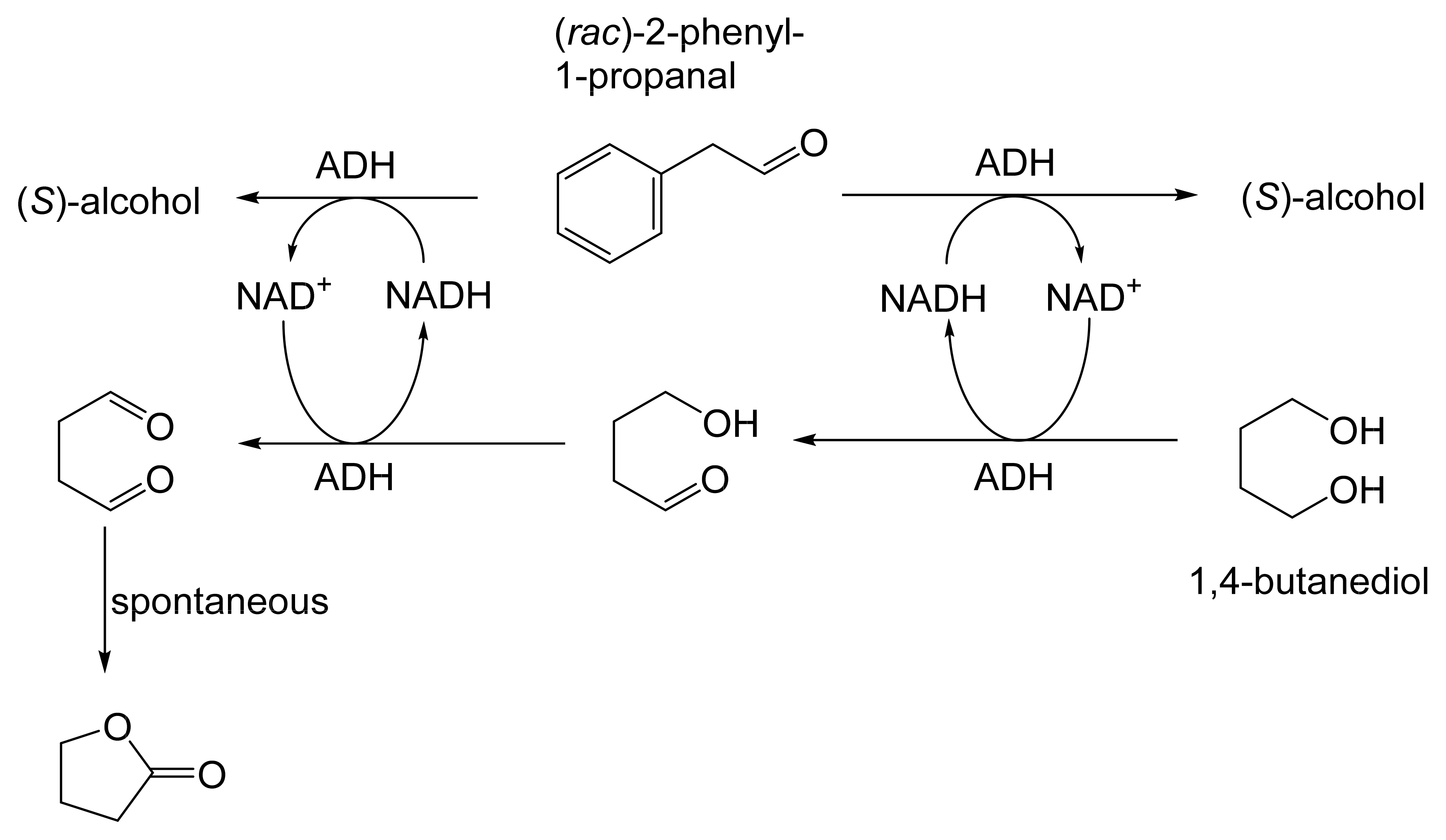 Molecules 28 07249 g025 Molecules 28 07249 g025
