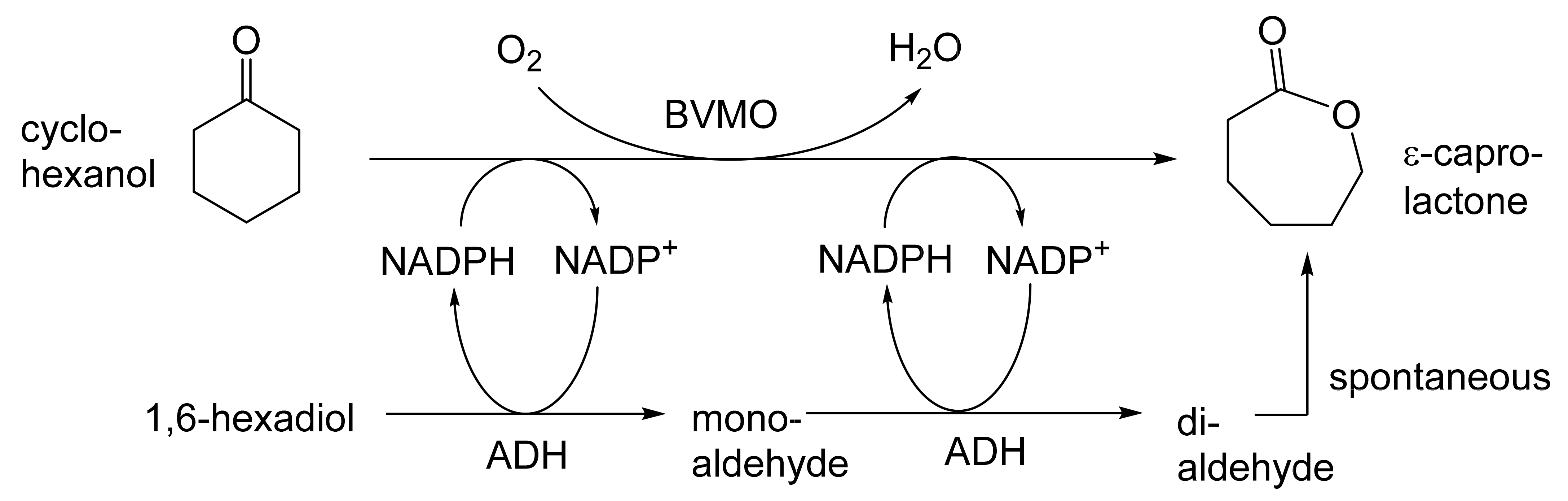 Molecules 28 07249 g026 Molecules 28 07249 g026
