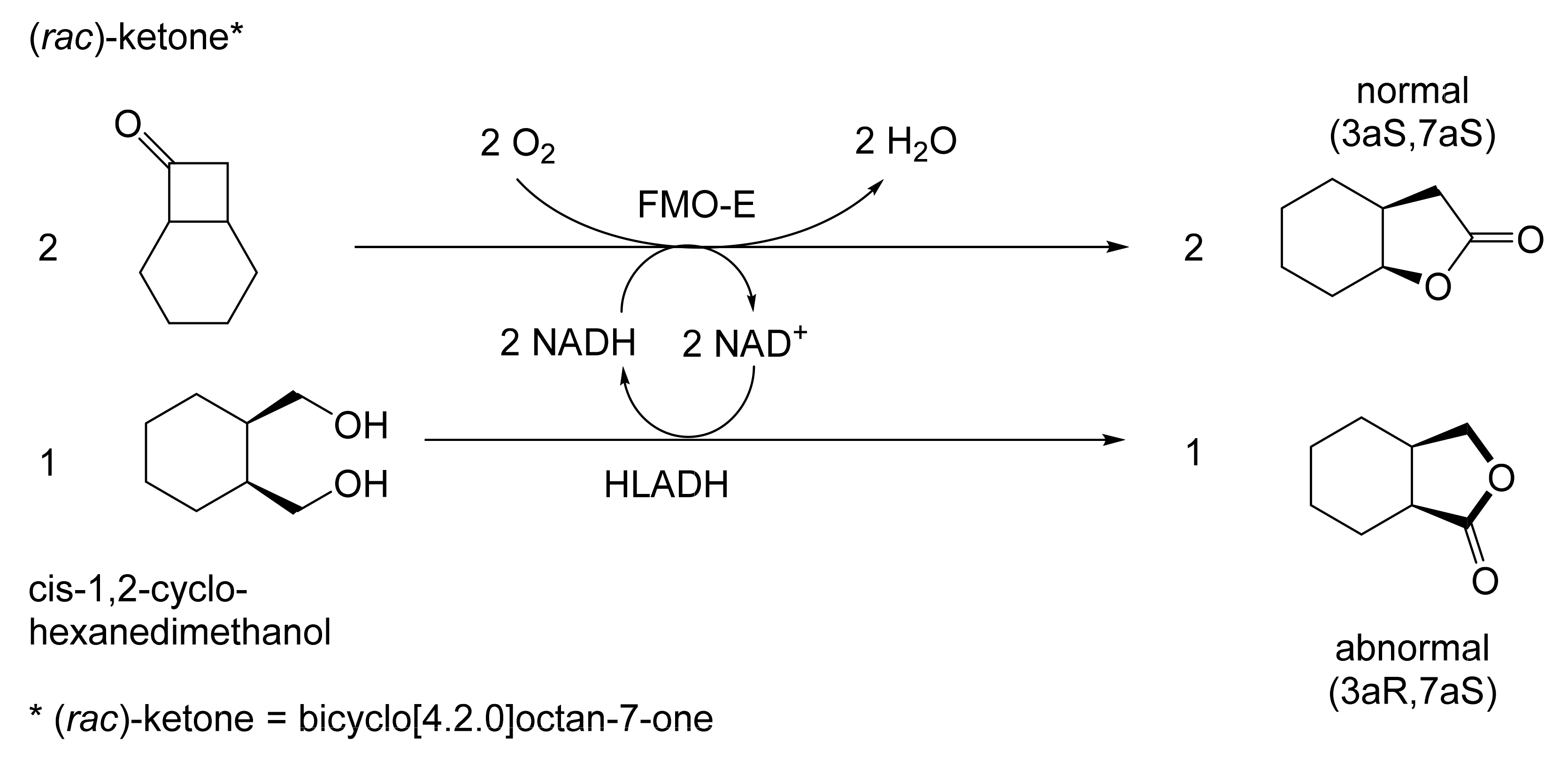 Molecules 28 07249 g027 Molecules 28 07249 g027