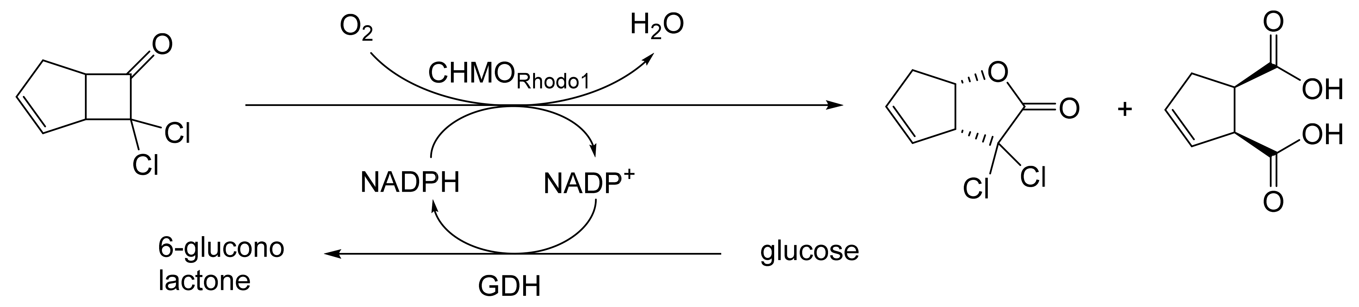 Molecules 28 07249 g028 Molecules 28 07249 g028