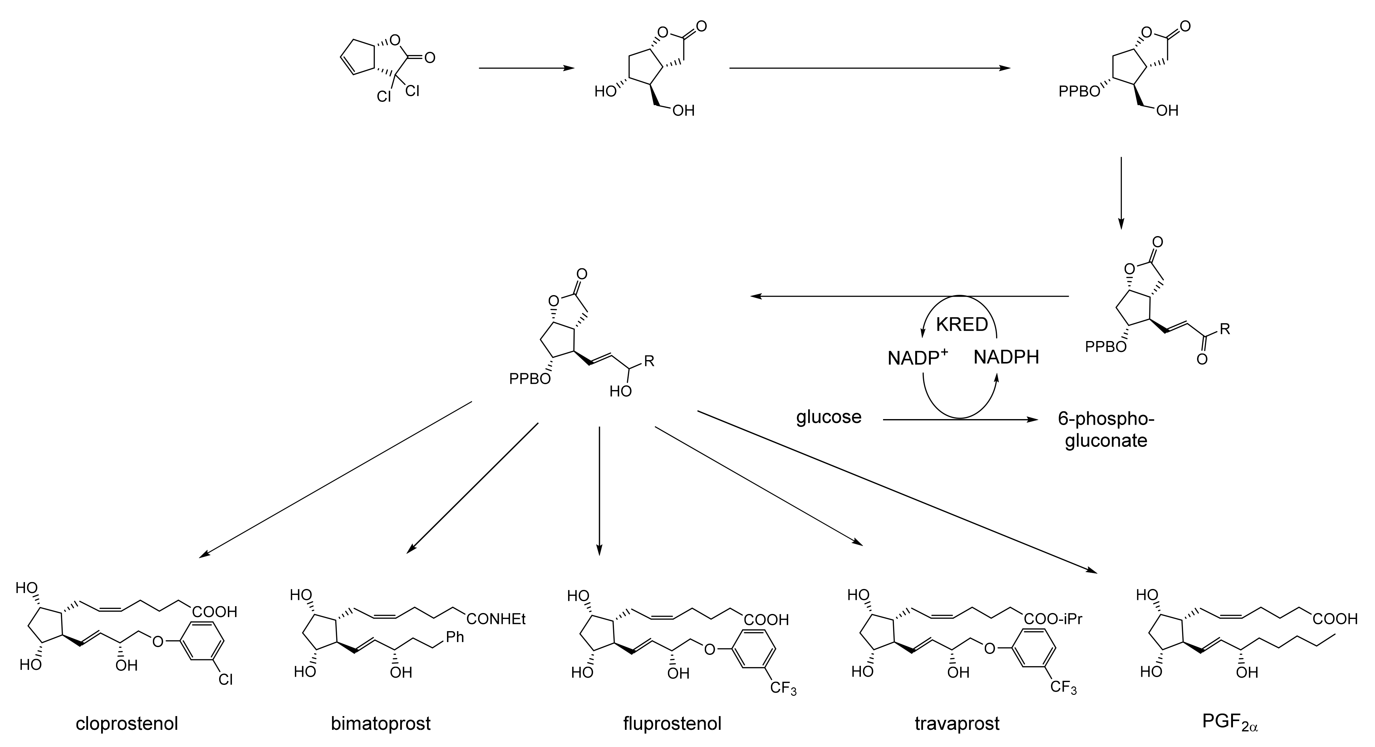Molecules 28 07249 g029 Molecules 28 07249 g029
