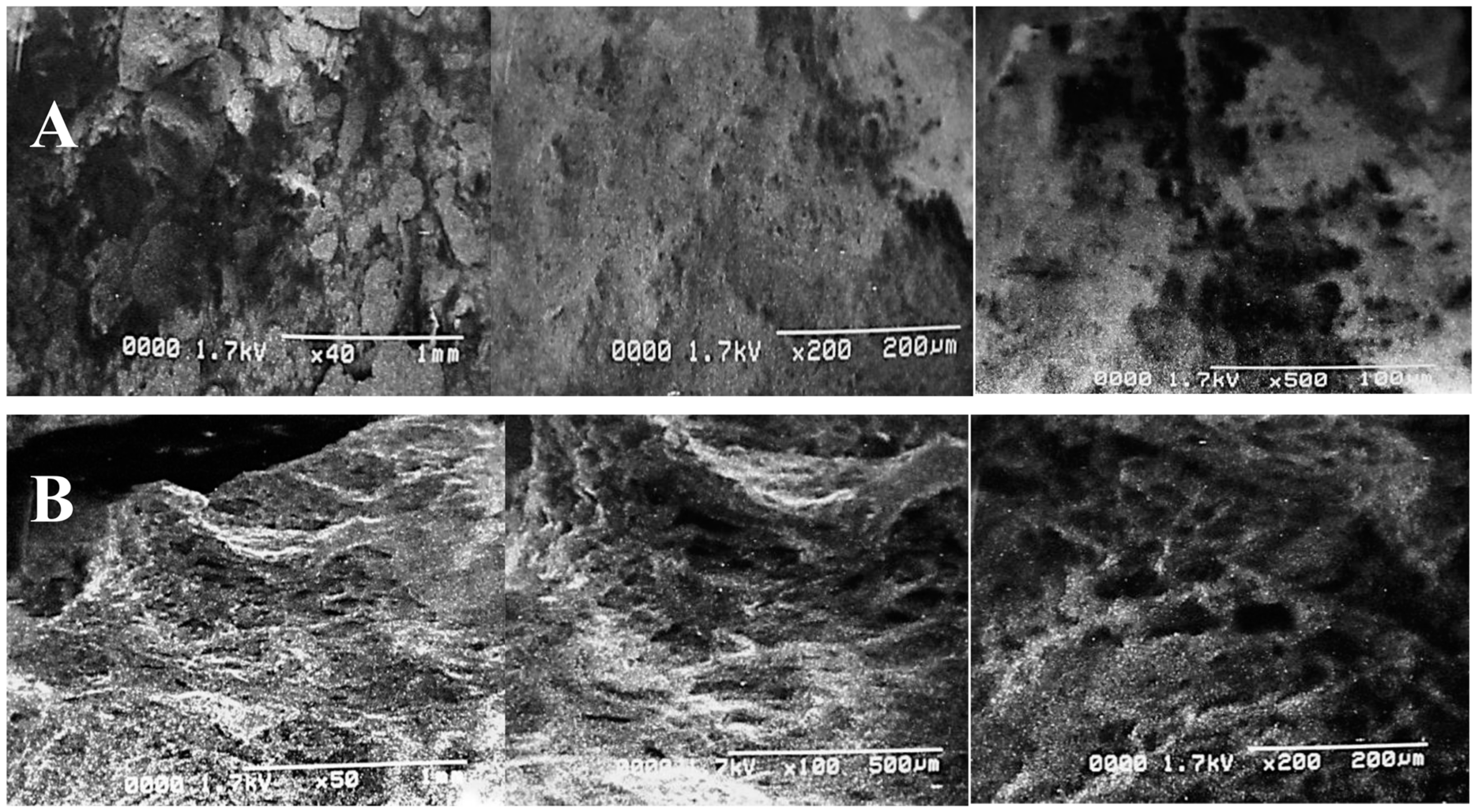 Molecules 28 07250 g004