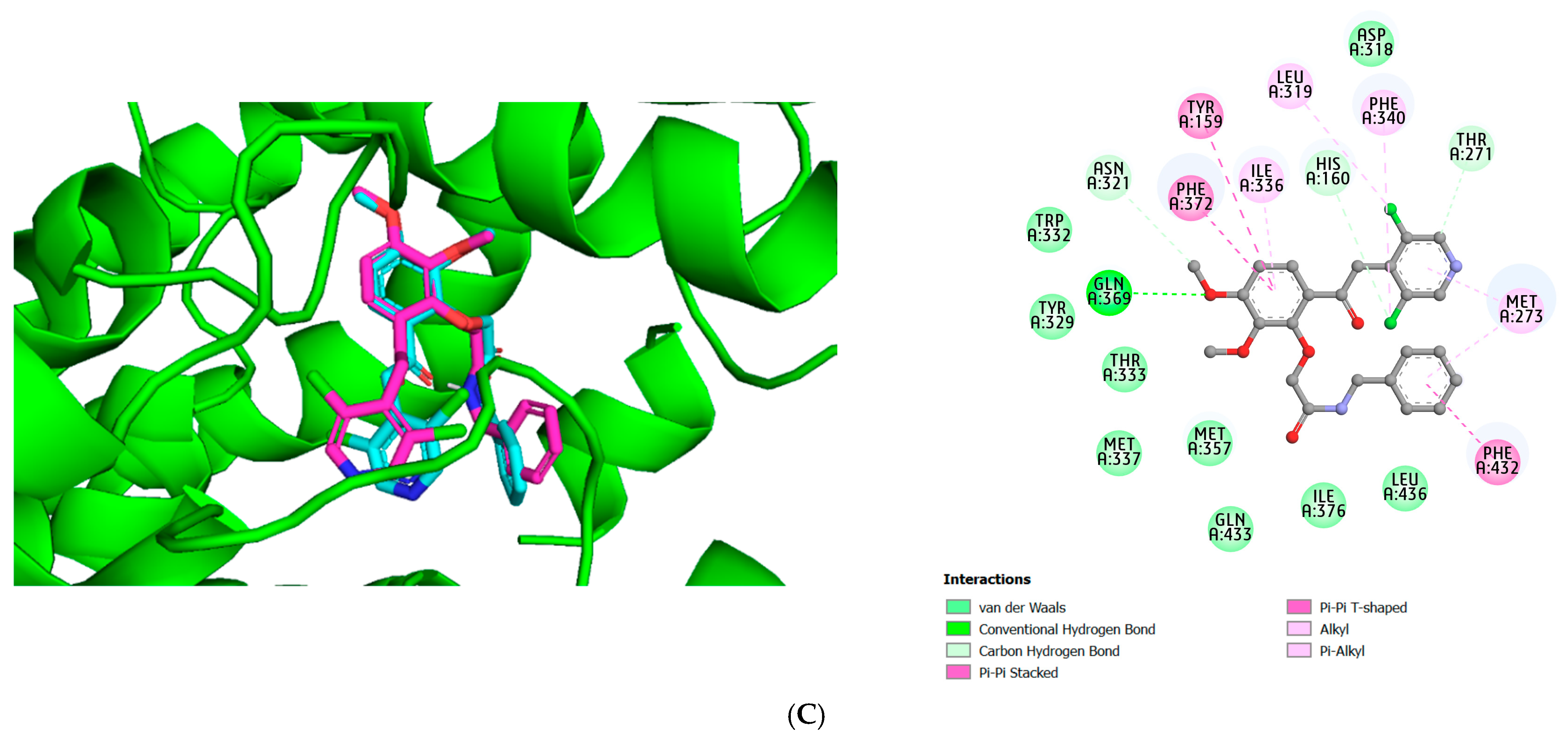 Molecules 28 07253 g001b