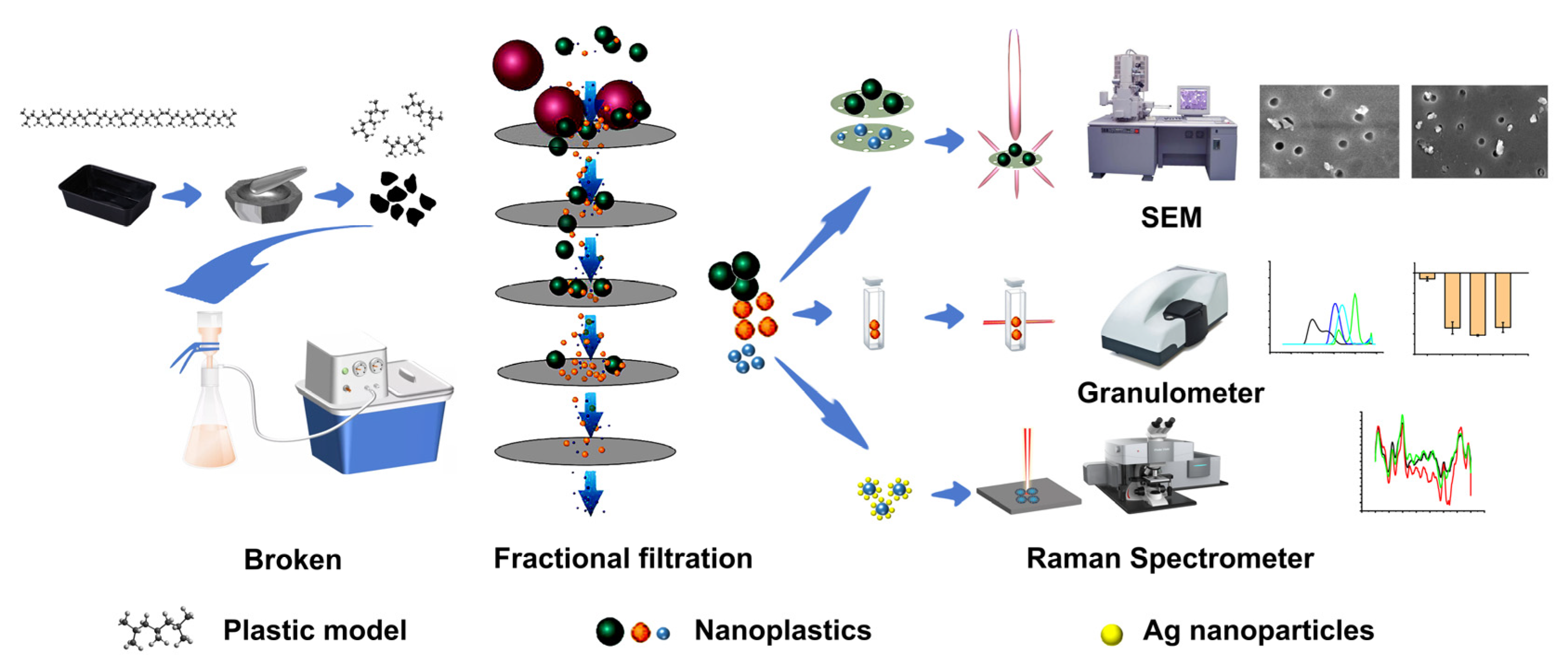 Molecules 28 07254 g001