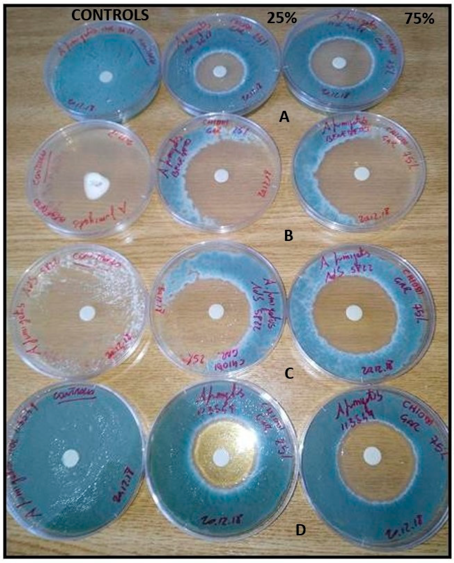 Molecules 28 07259 g002