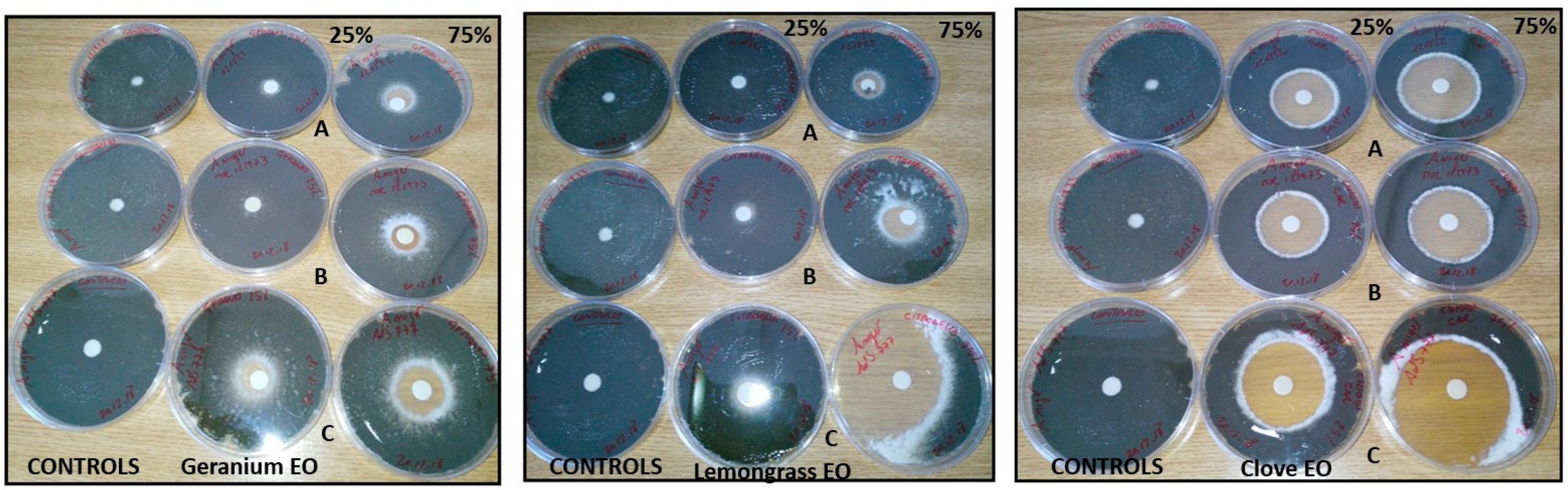 Molecules 28 07259 g003