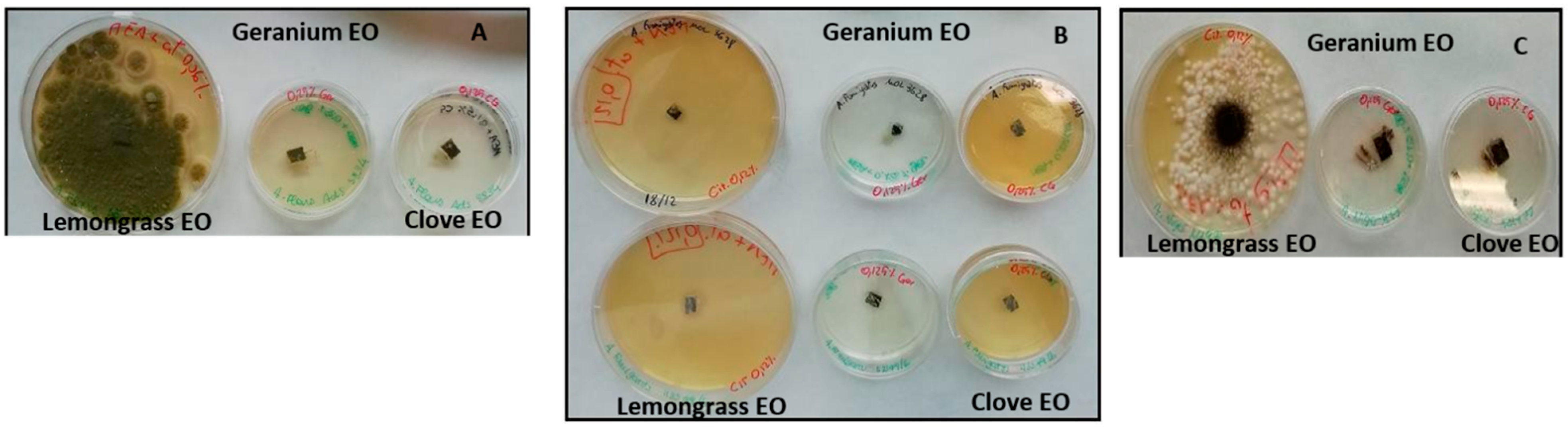 Molecules 28 07259 g004