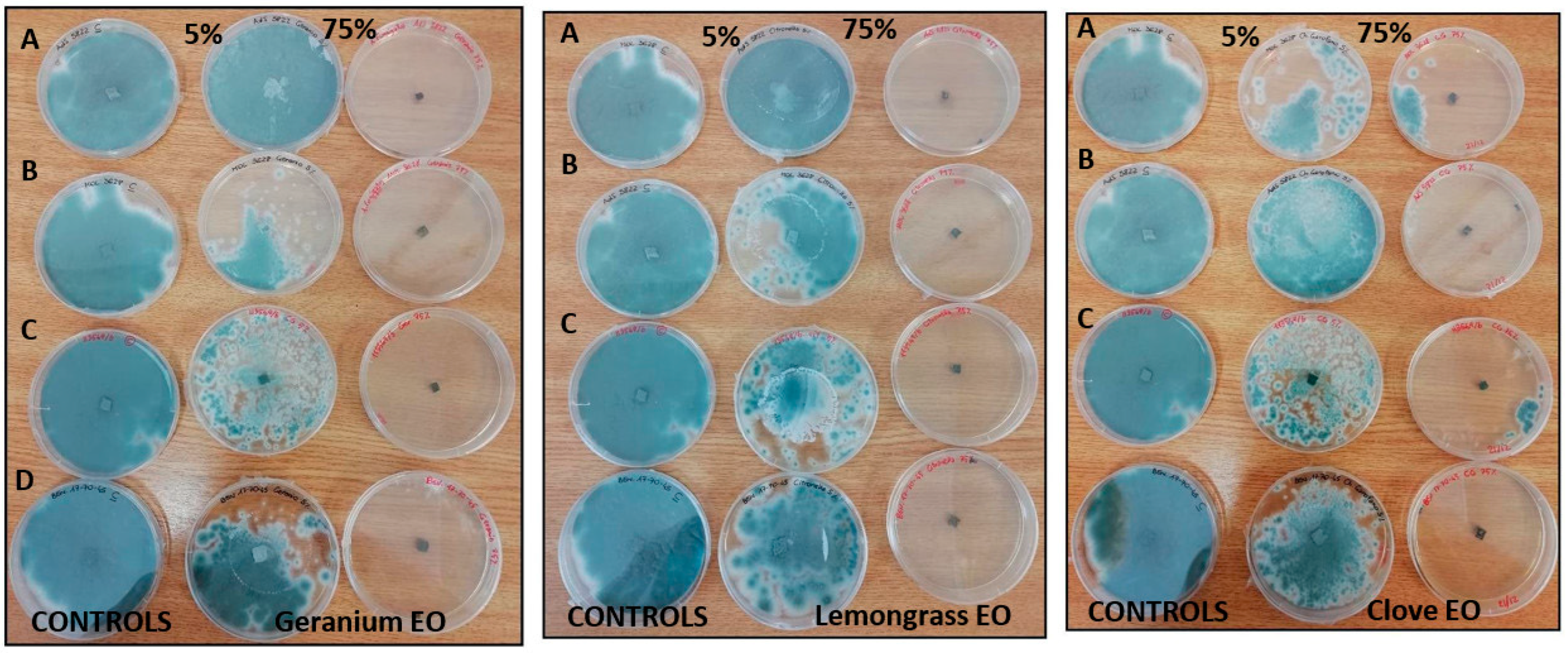Molecules 28 07259 g005