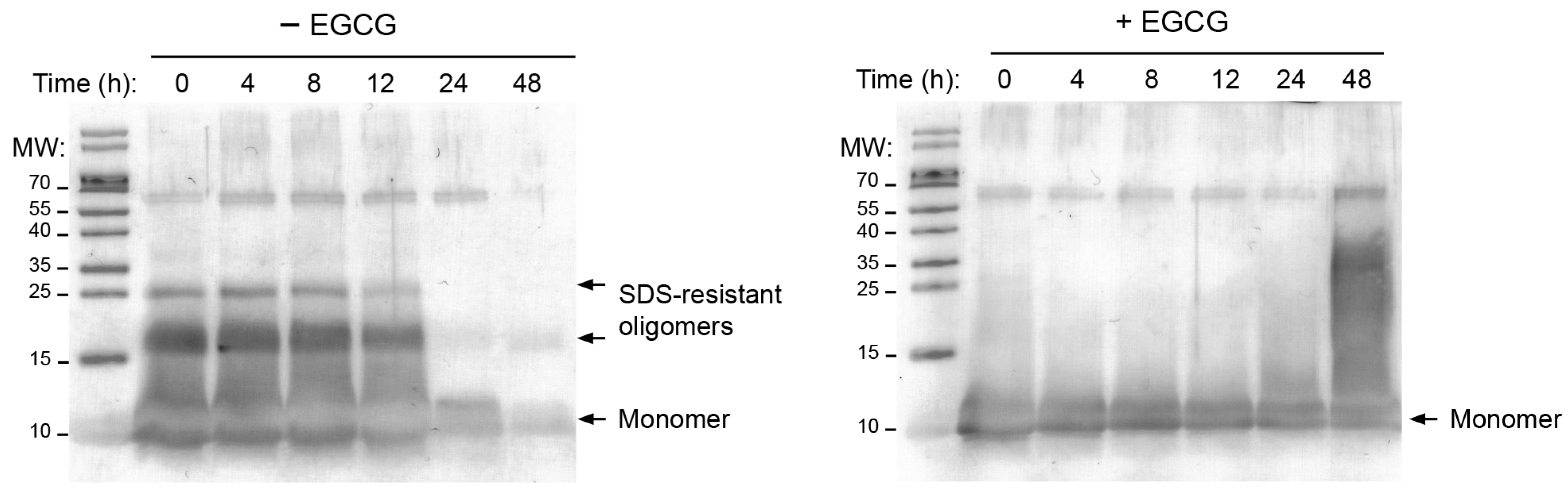 Molecules 28 07262 g002