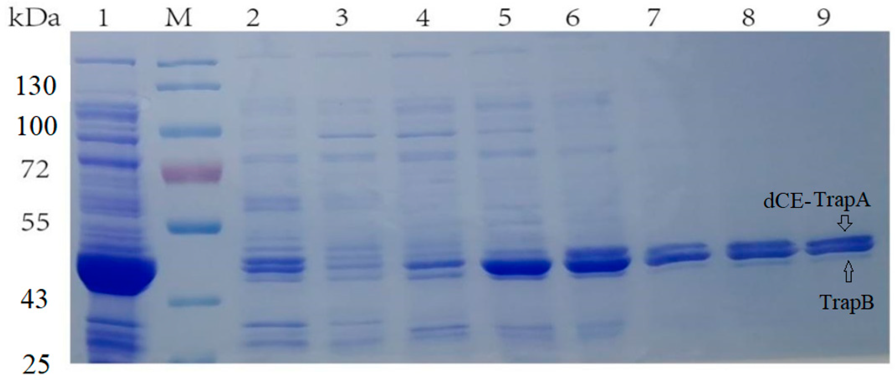 Molecules 28 07272 g002