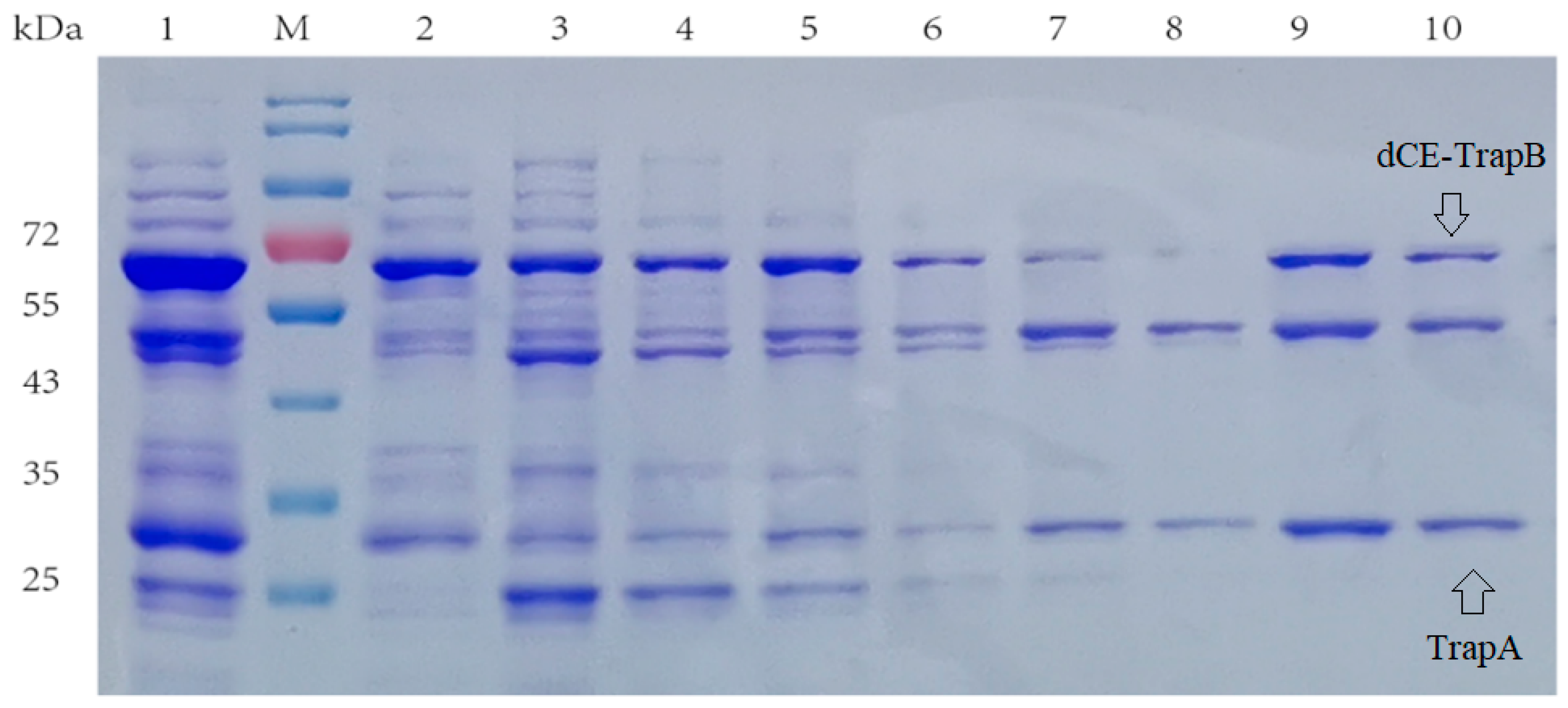 Molecules 28 07272 g004
