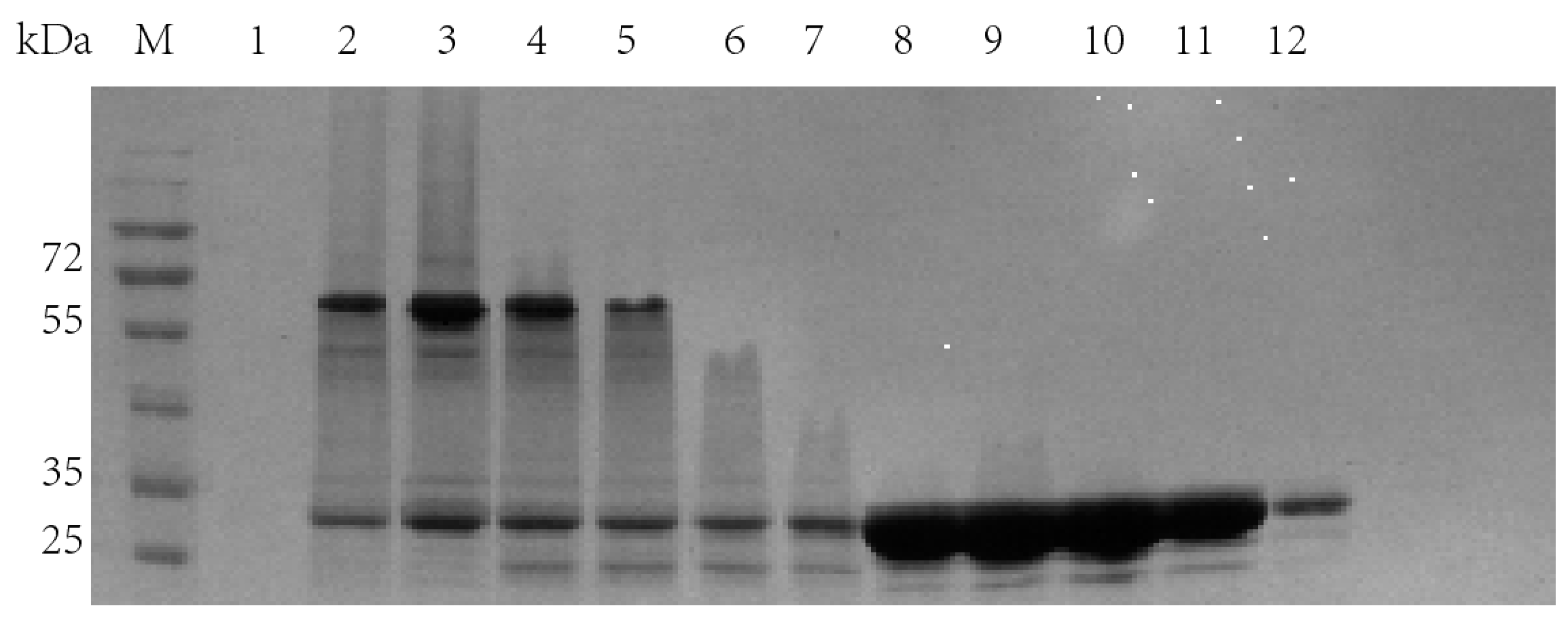 Molecules 28 07272 g008