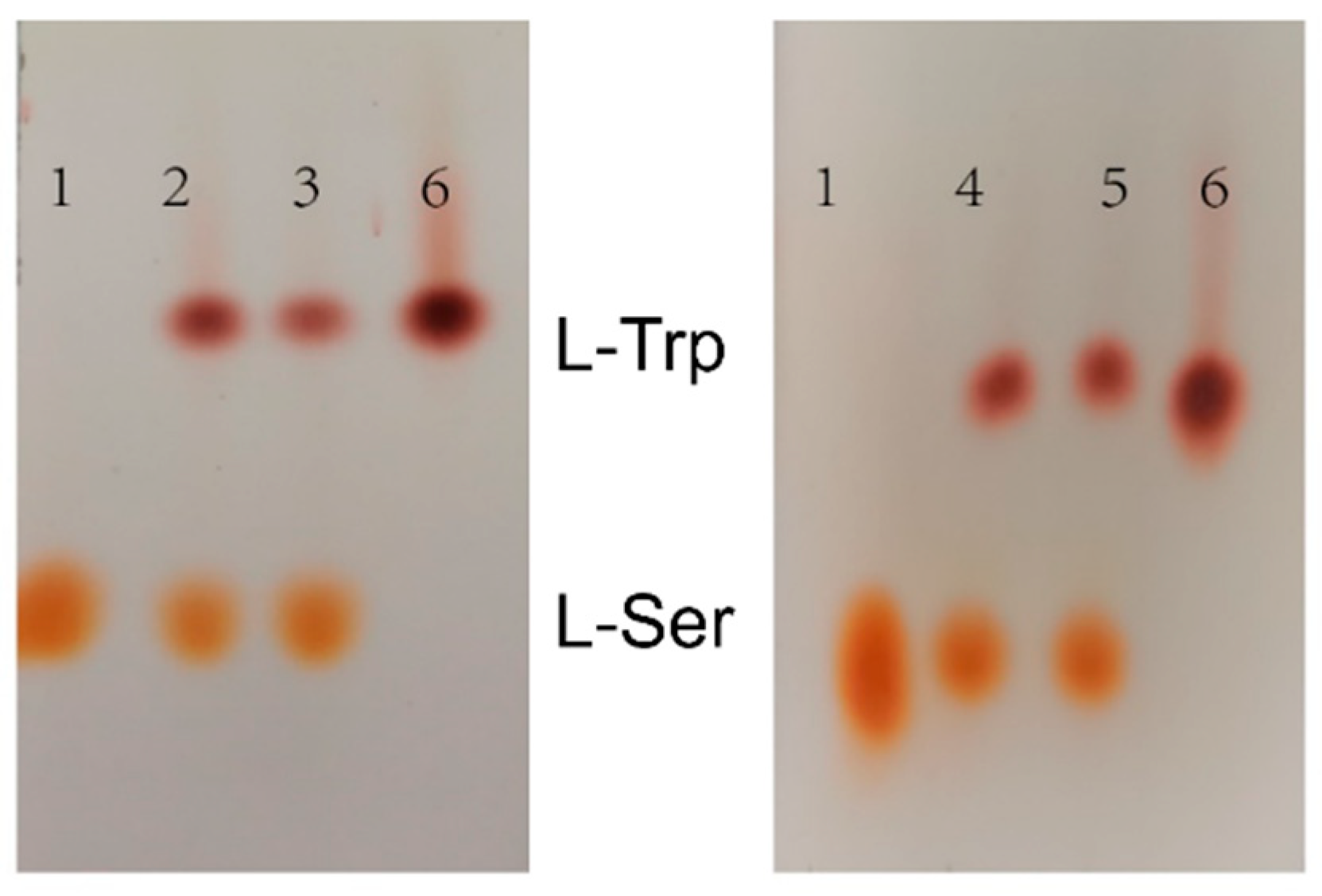 Molecules 28 07272 g009