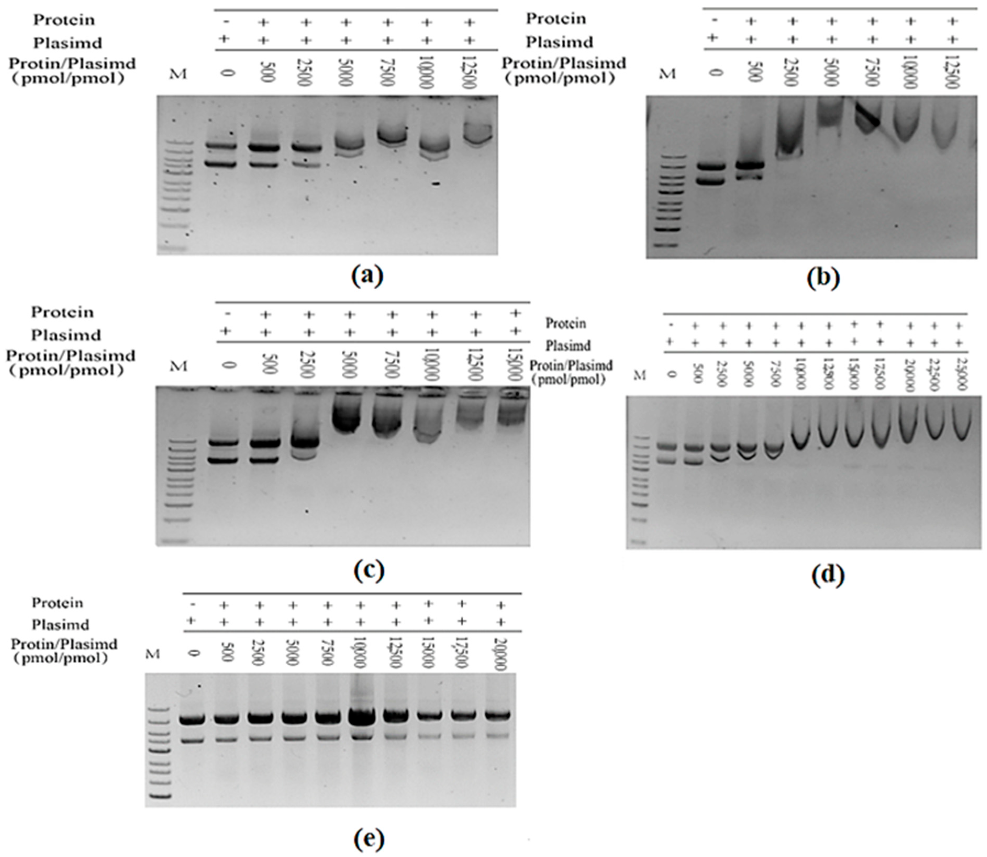 Molecules 28 07272 g014