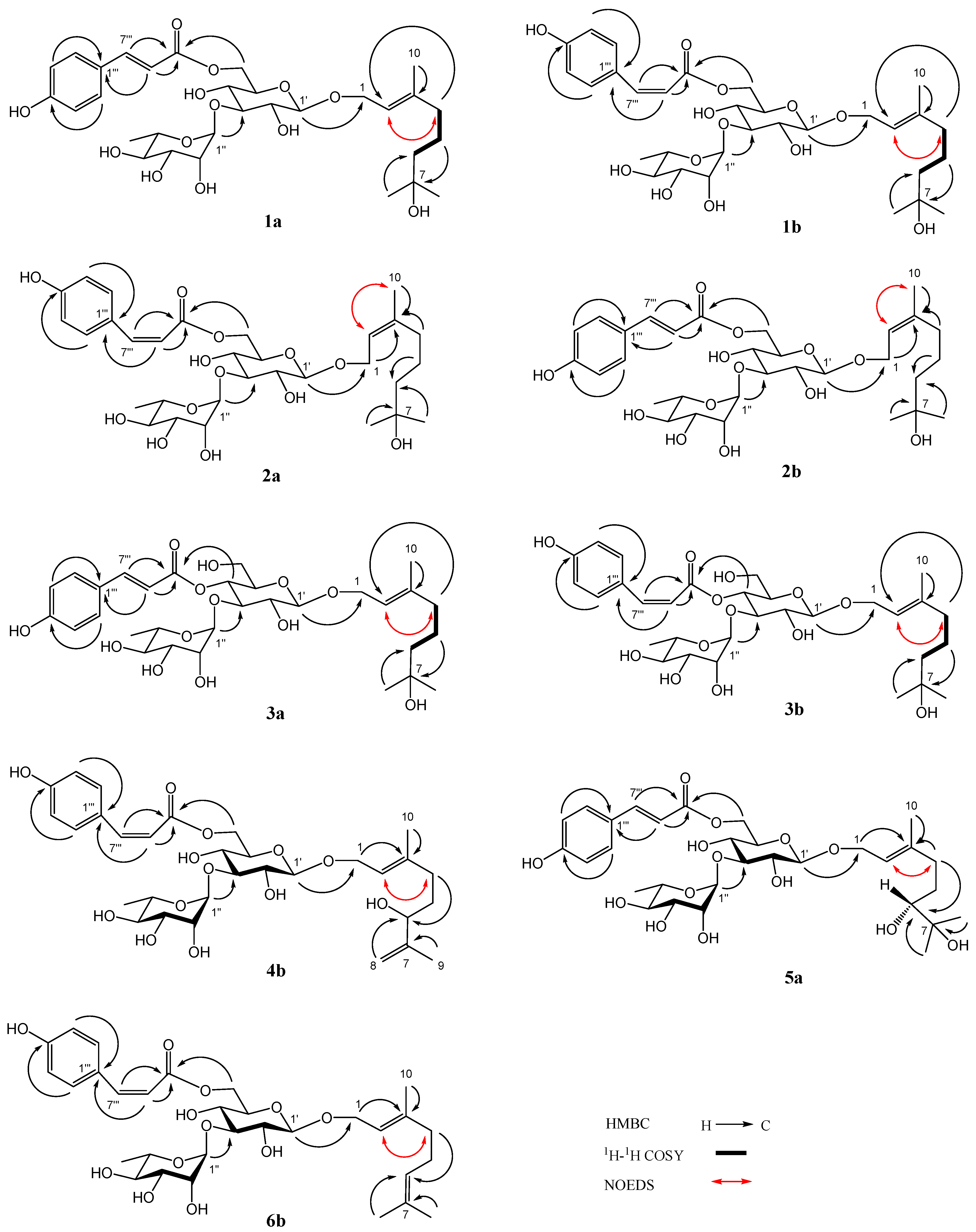 Molecules 28 07274 g002