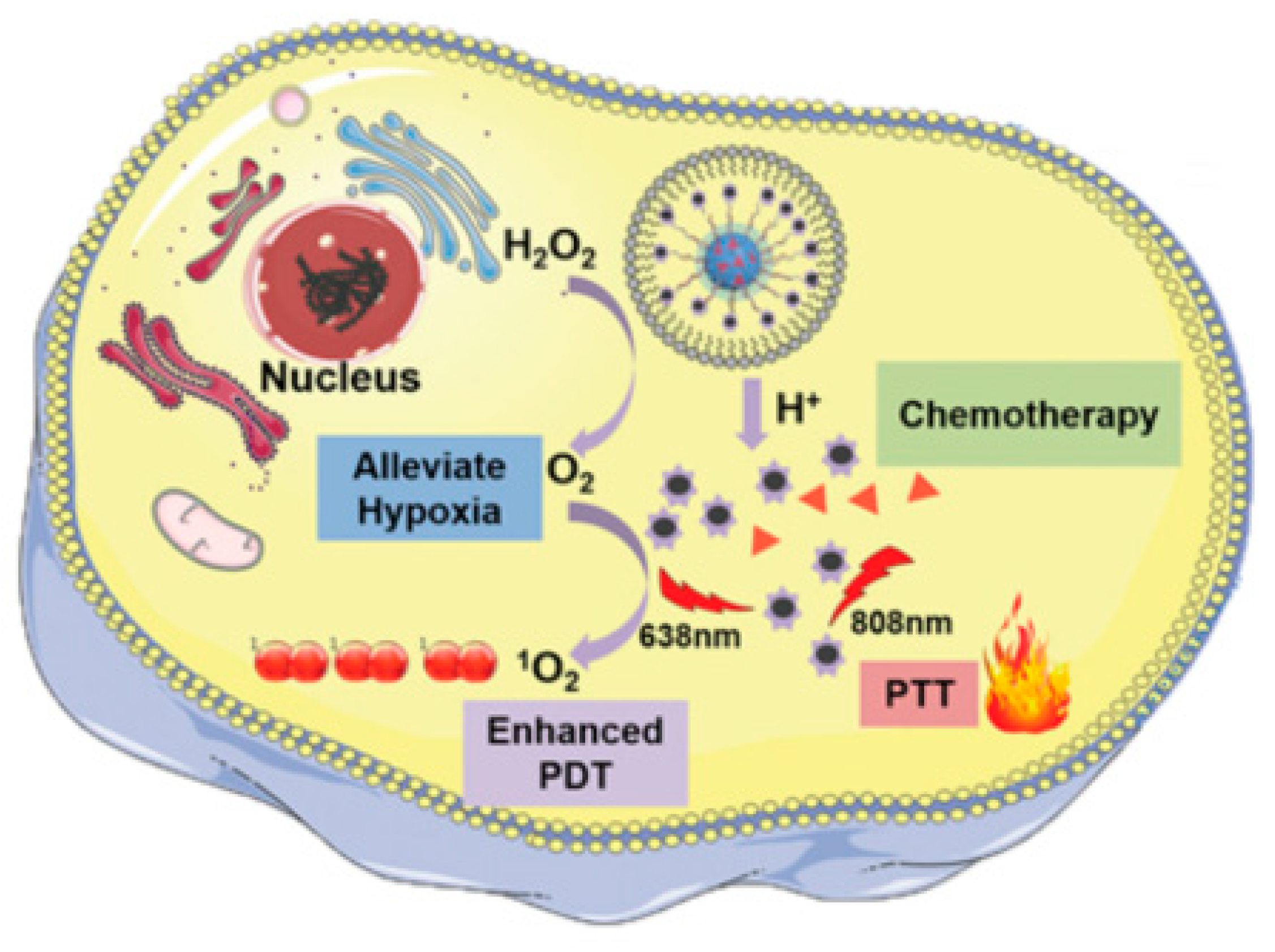 Molecules 28 07275 g007 Molecules 28 07275 g007