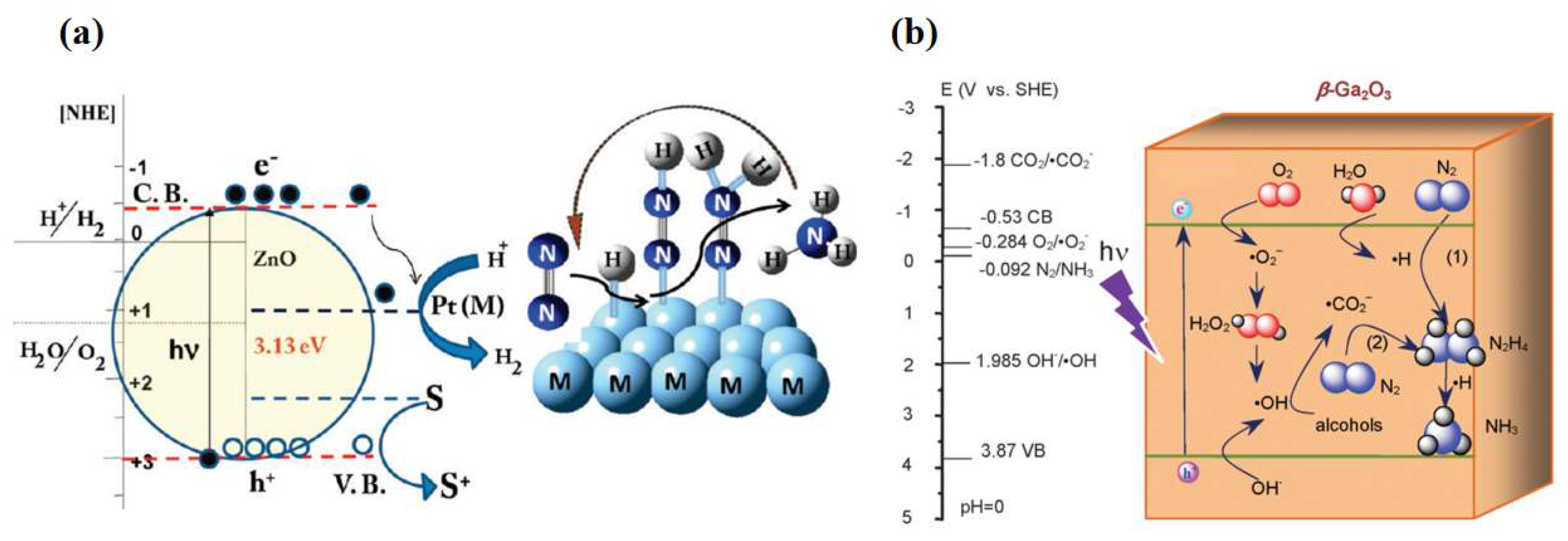 Molecules 28 07277 g002