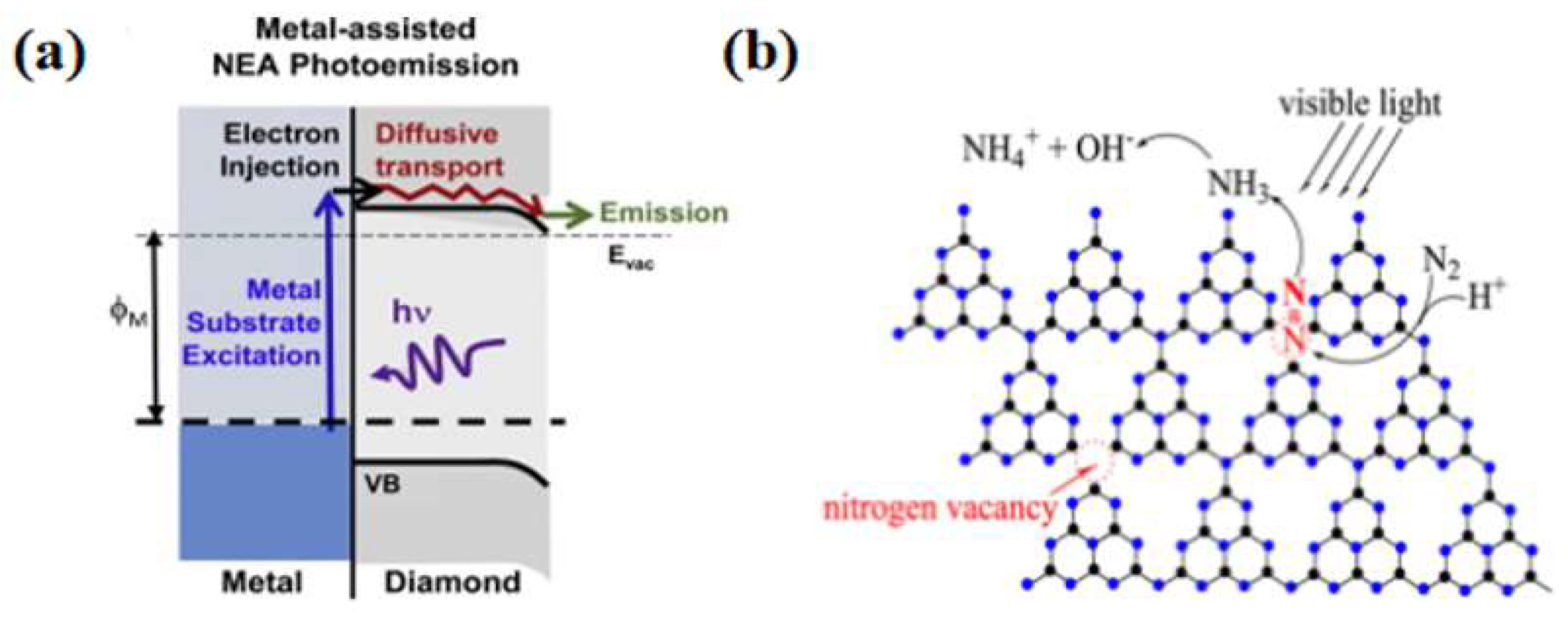 Molecules 28 07277 g004