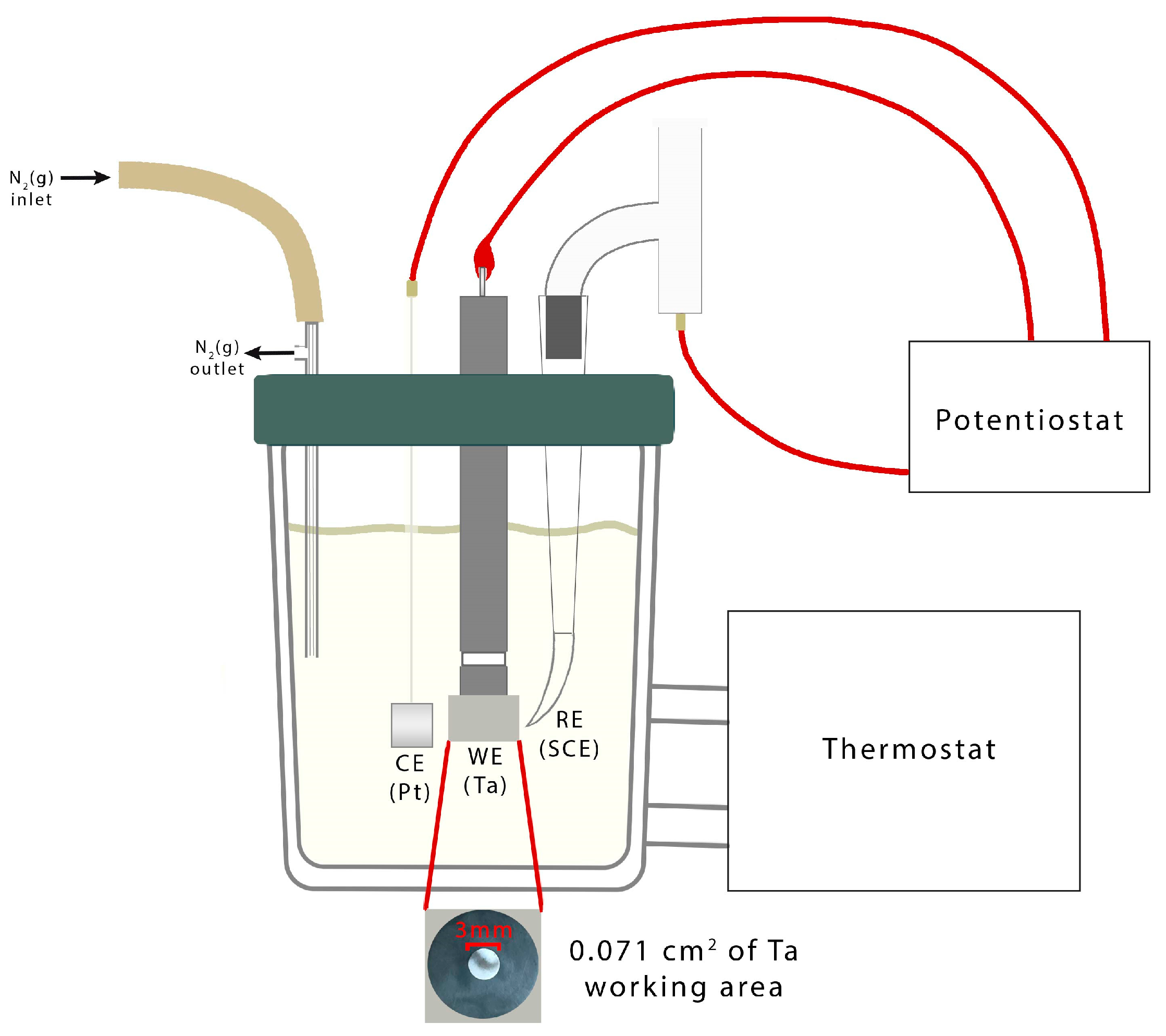 Molecules 28 07286 sch001