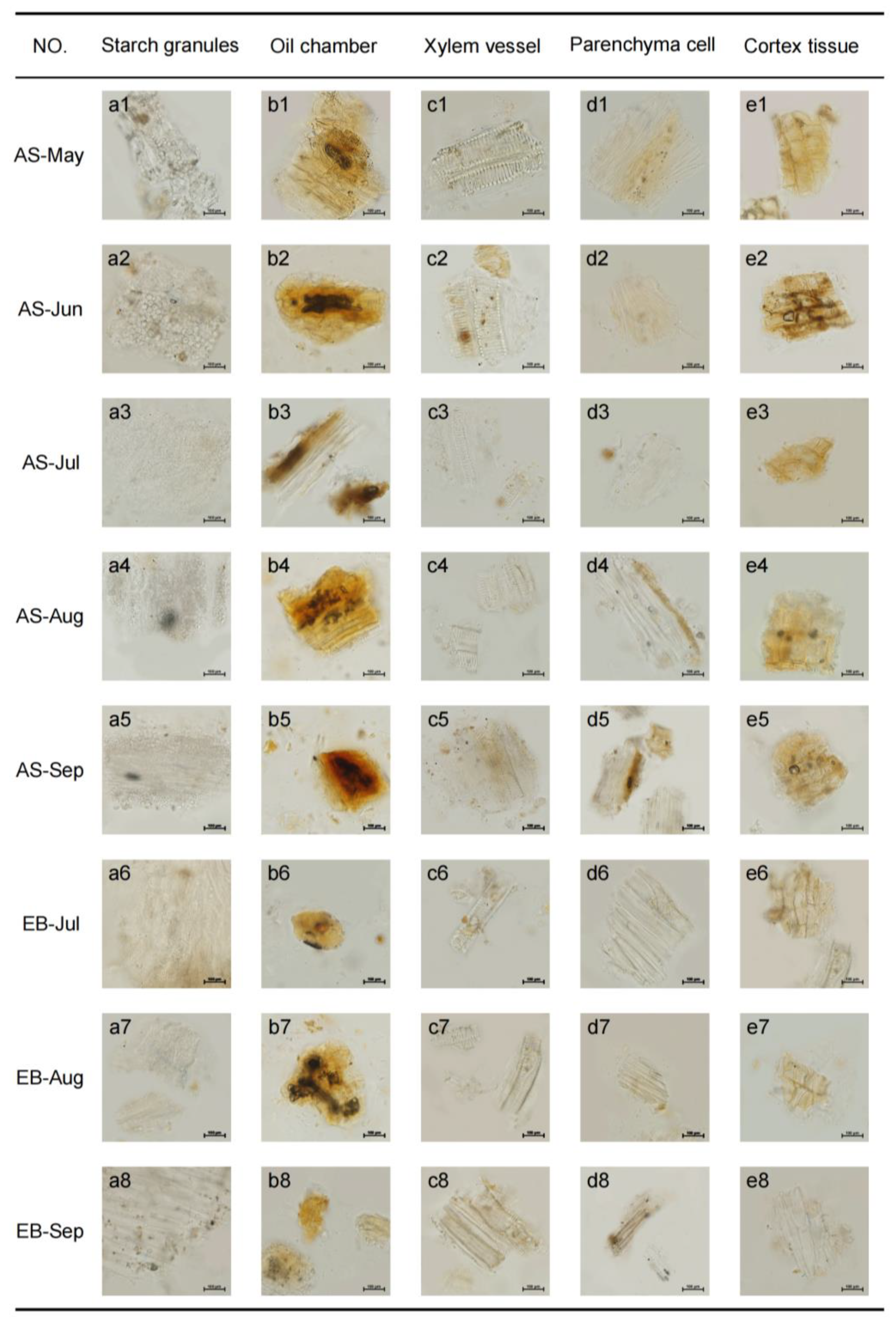 Molecules 28 07292 g001