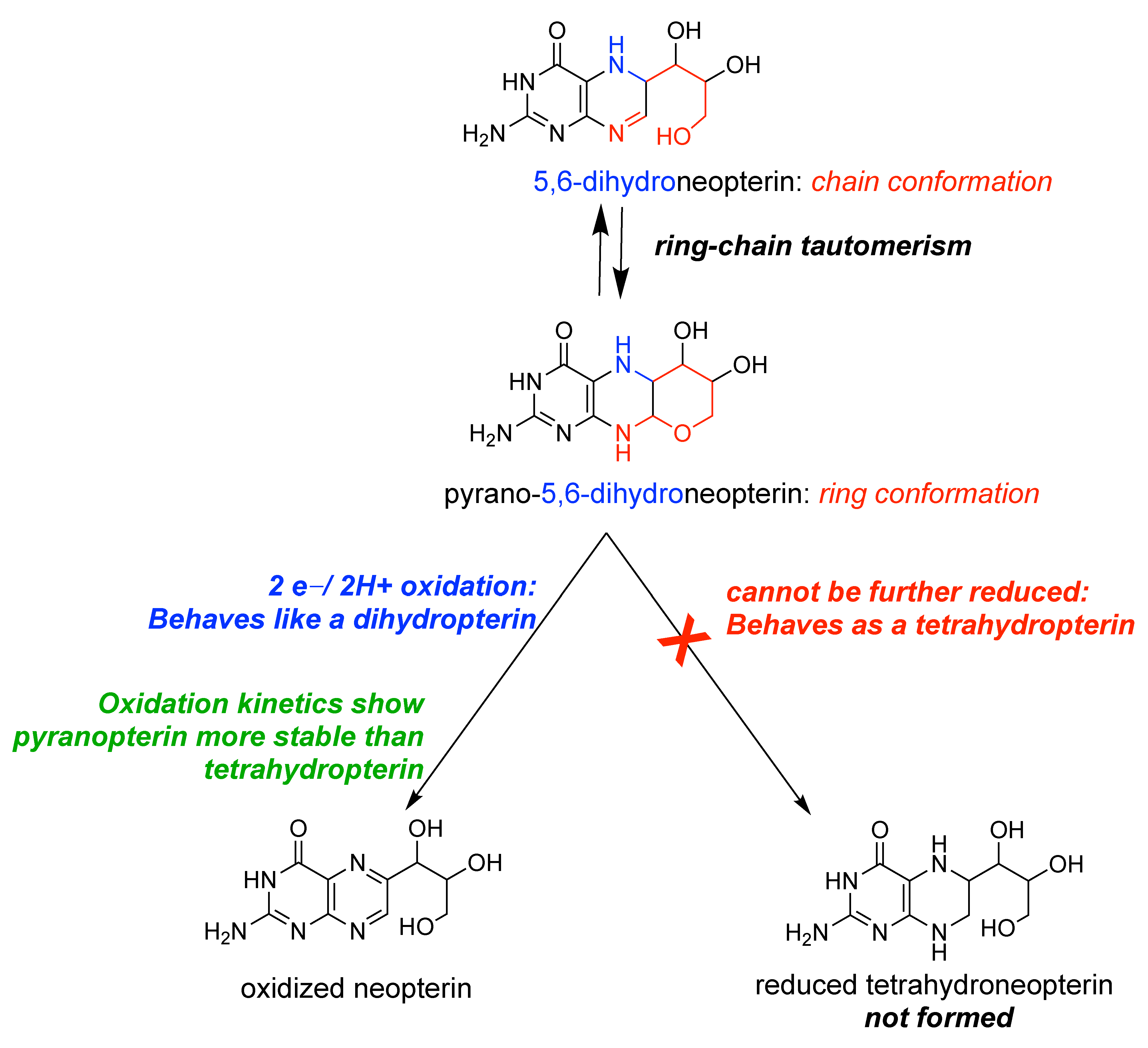 Molecules 28 07296 g006 Molecules 28 07296 g006