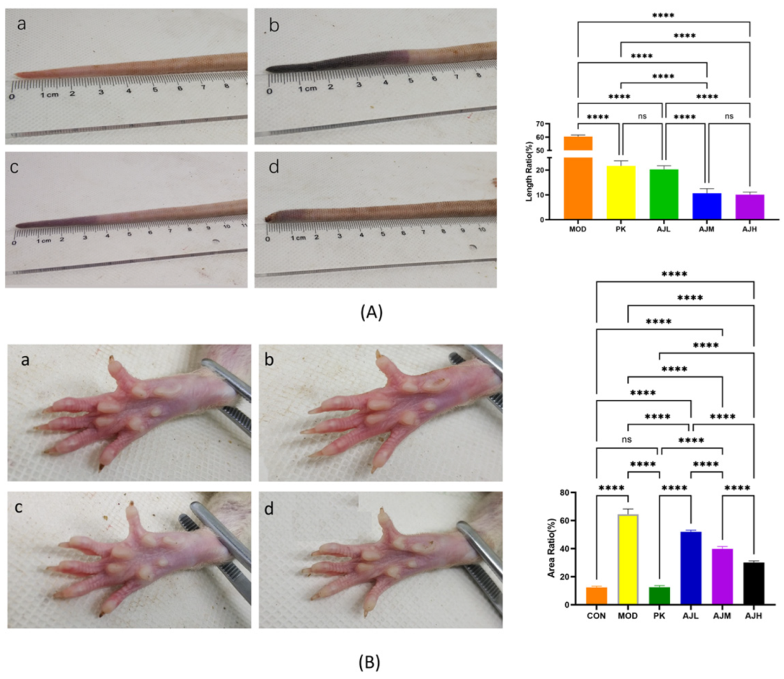 Molecules 28 07301 g001 Molecules 28 07301 g001
