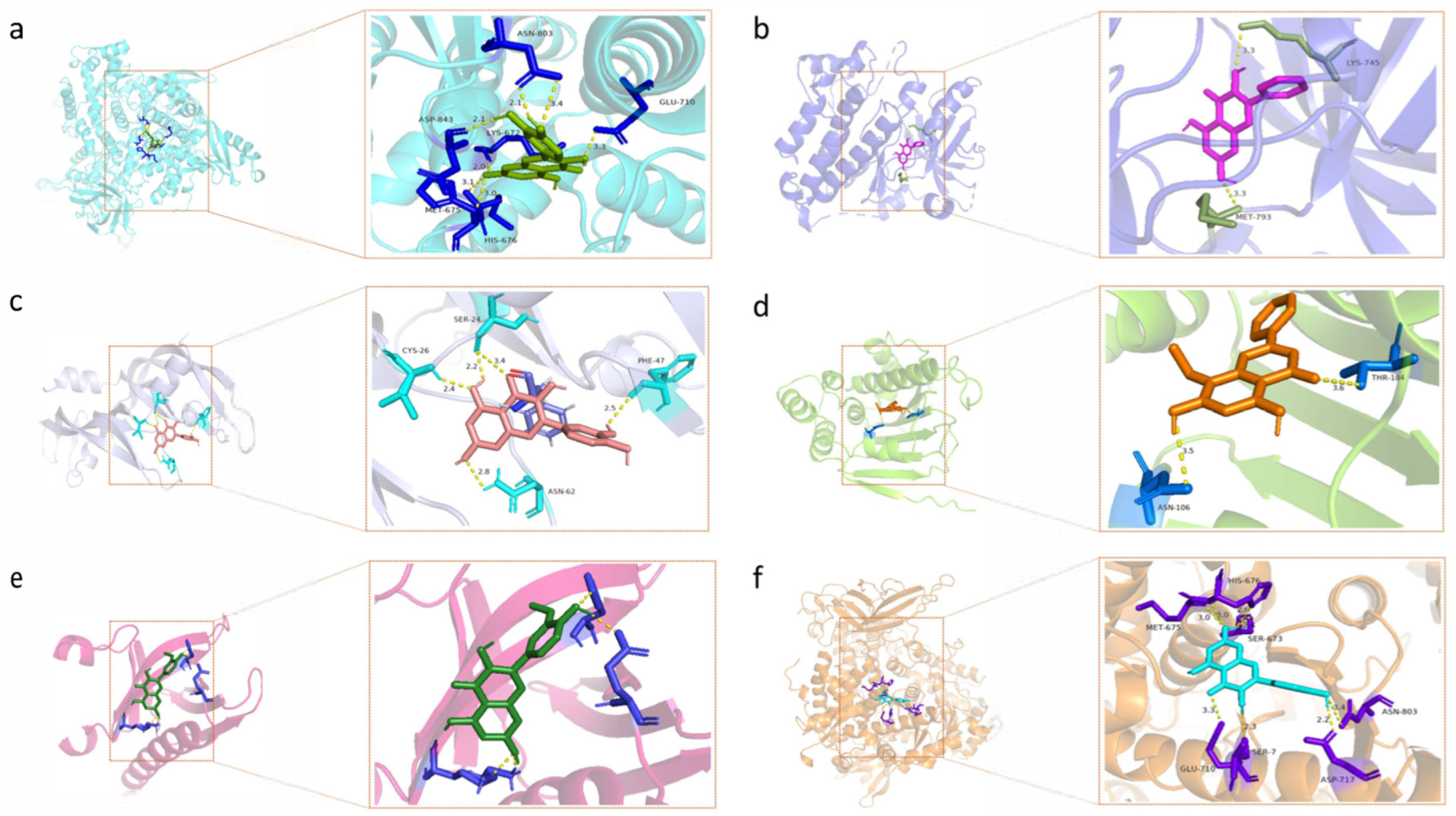 Molecules 28 07301 g008 Molecules 28 07301 g008