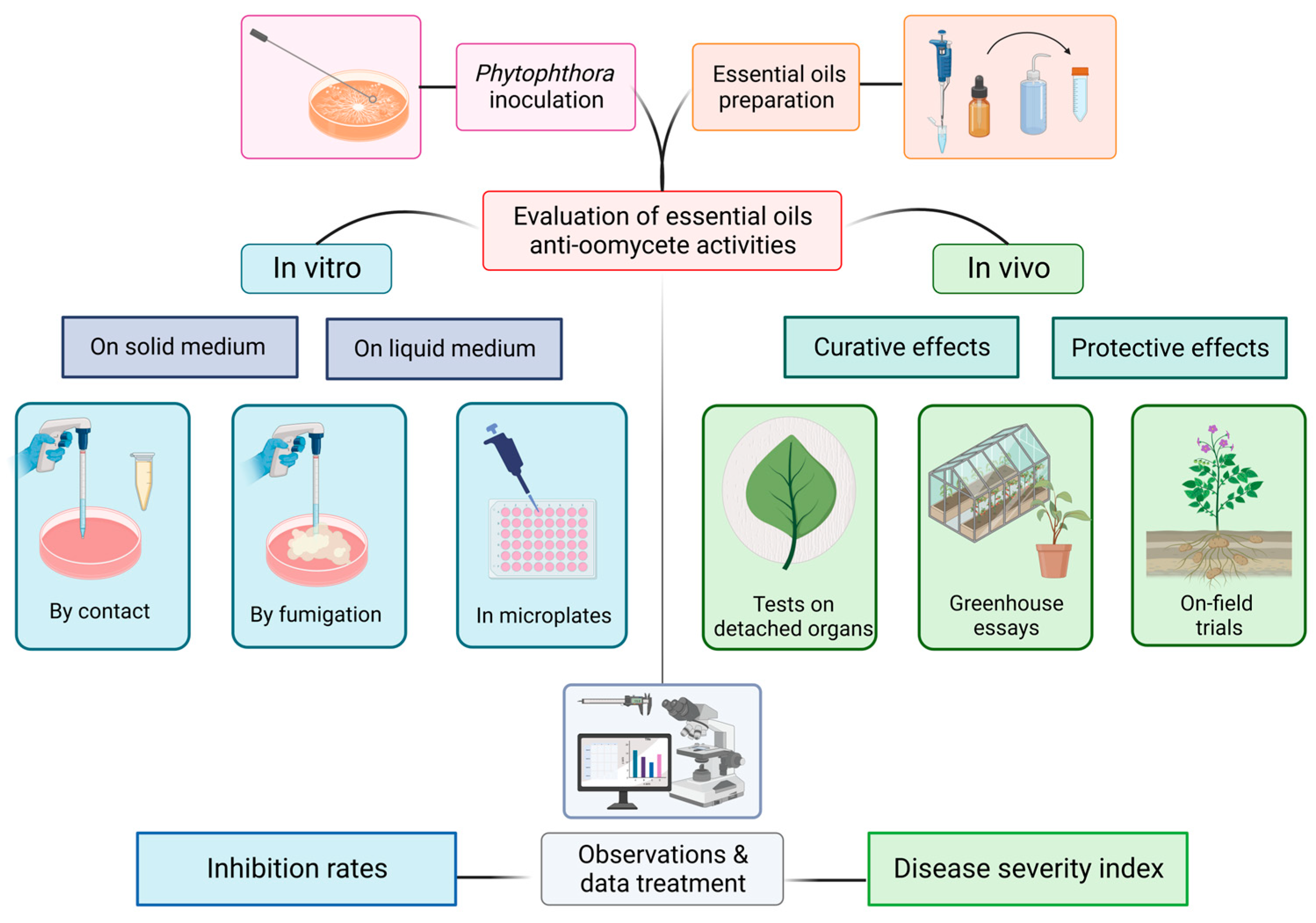 Molecules 28 07302 g001 Molecules 28 07302 g001