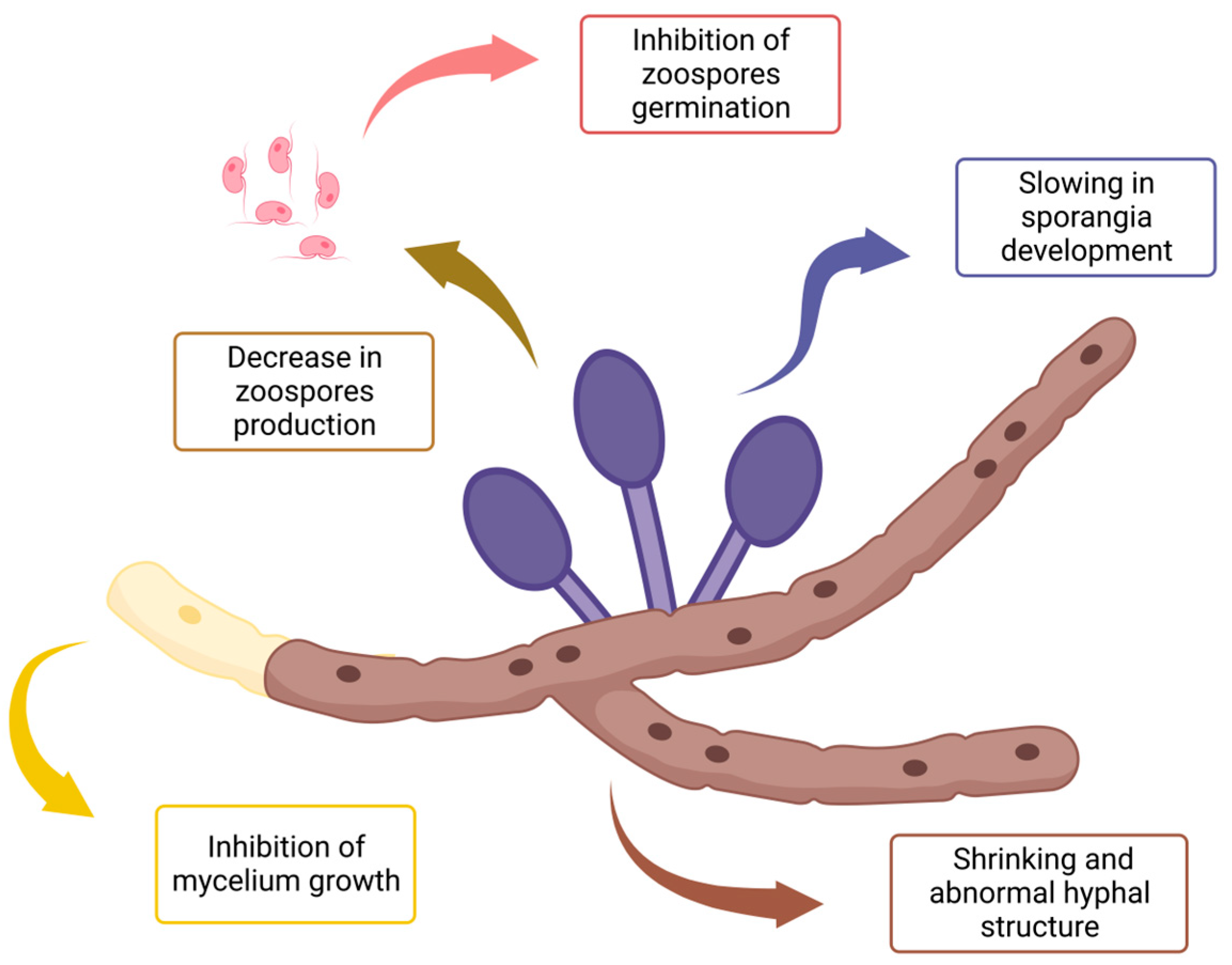 Molecules 28 07302 g002 Molecules 28 07302 g002
