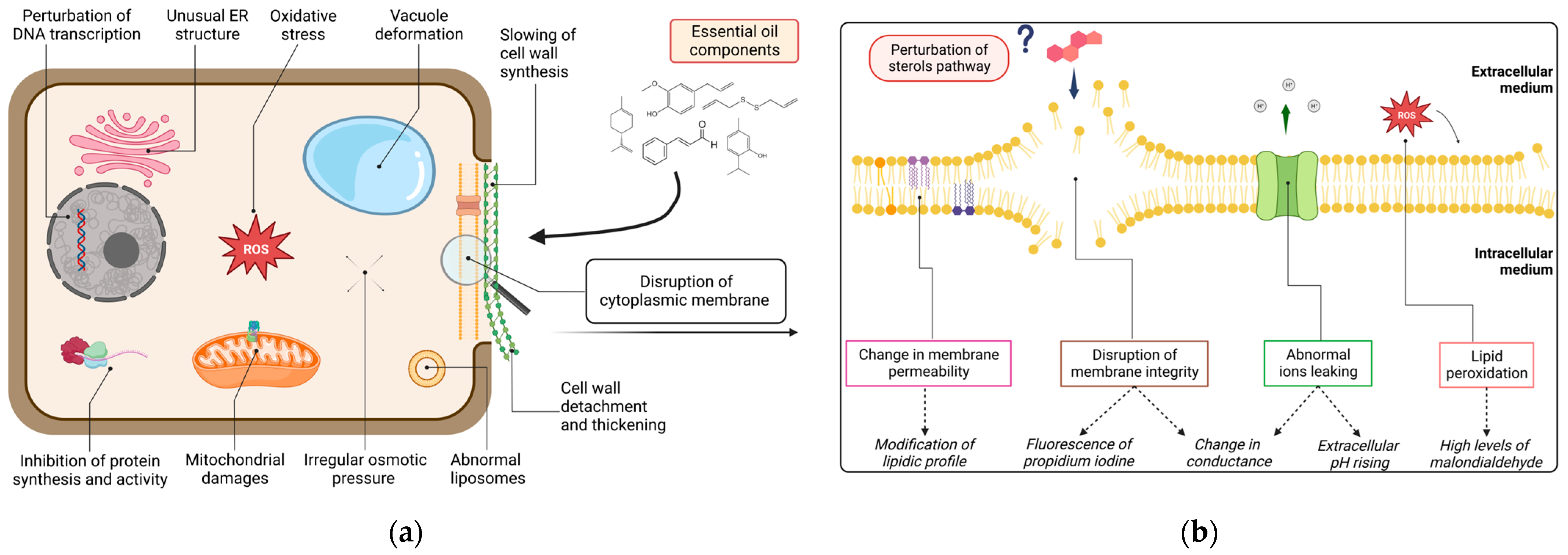 Molecules 28 07302 g003 Molecules 28 07302 g003