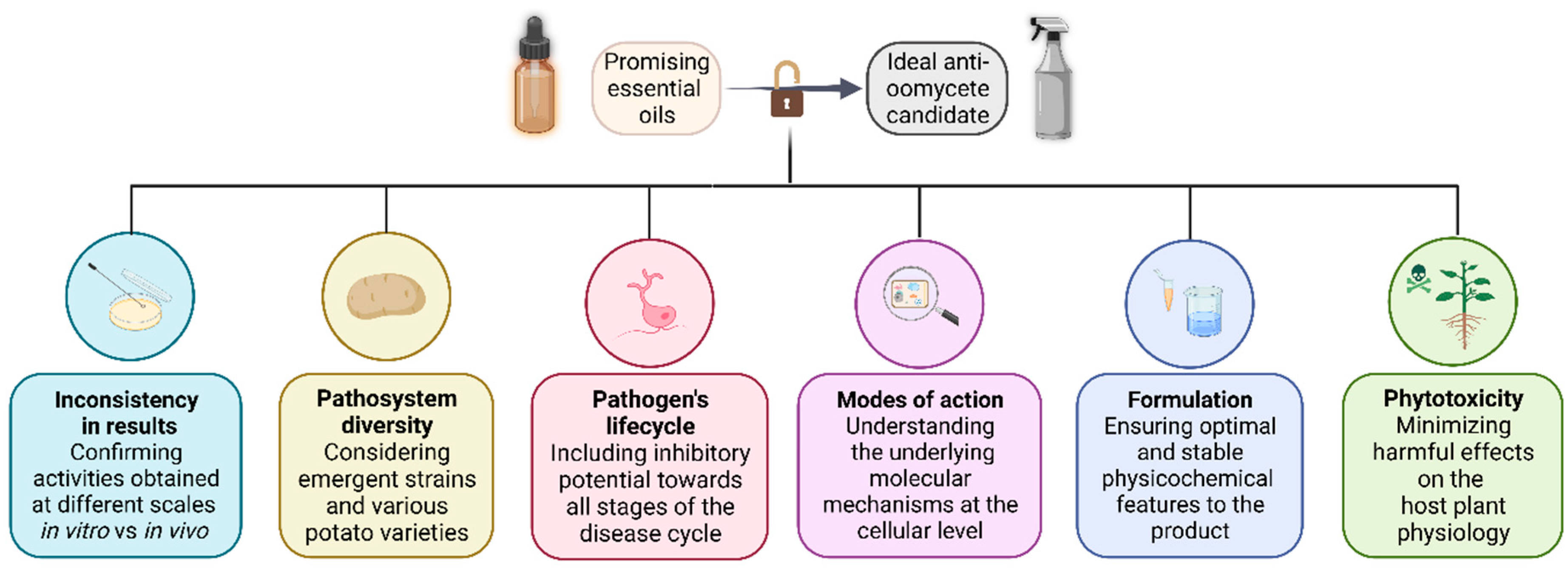 Molecules 28 07302 g004 Molecules 28 07302 g004