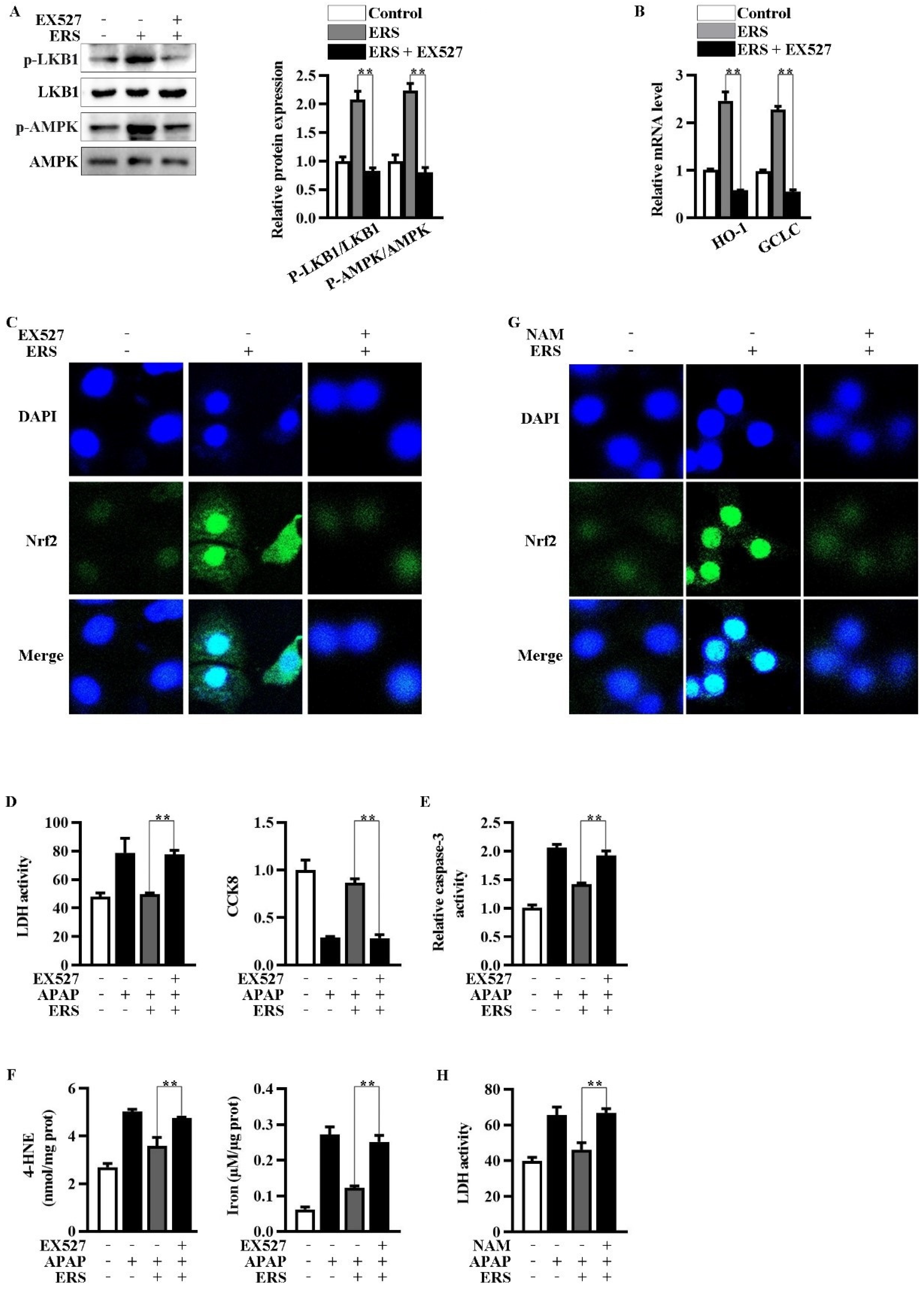 Molecules 28 07307 g004