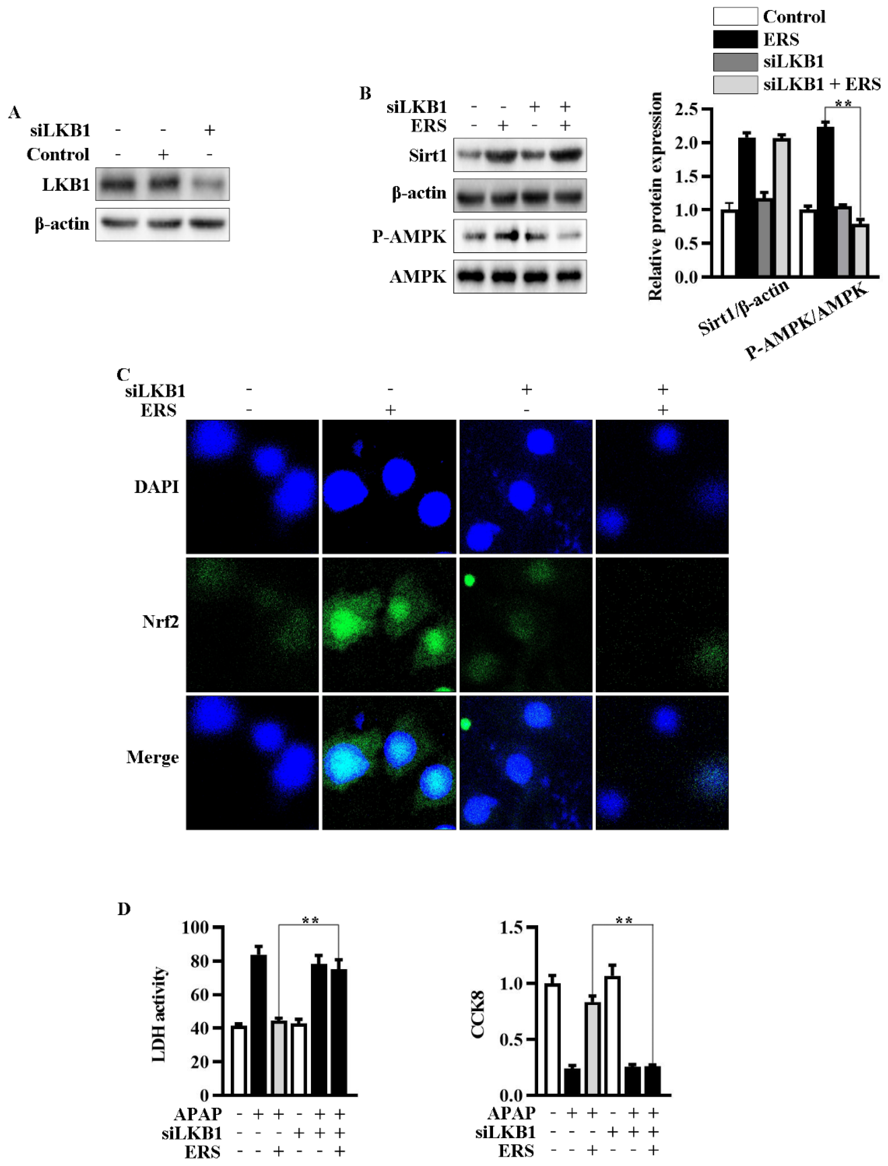 Molecules 28 07307 g005