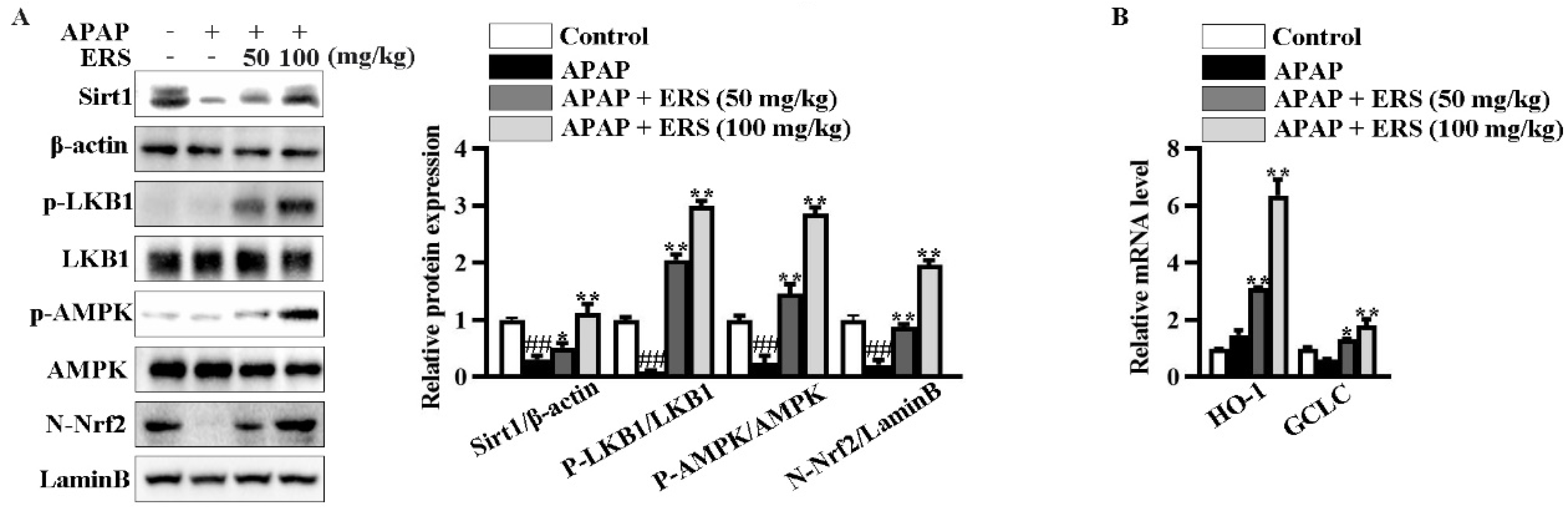 Molecules 28 07307 g007
