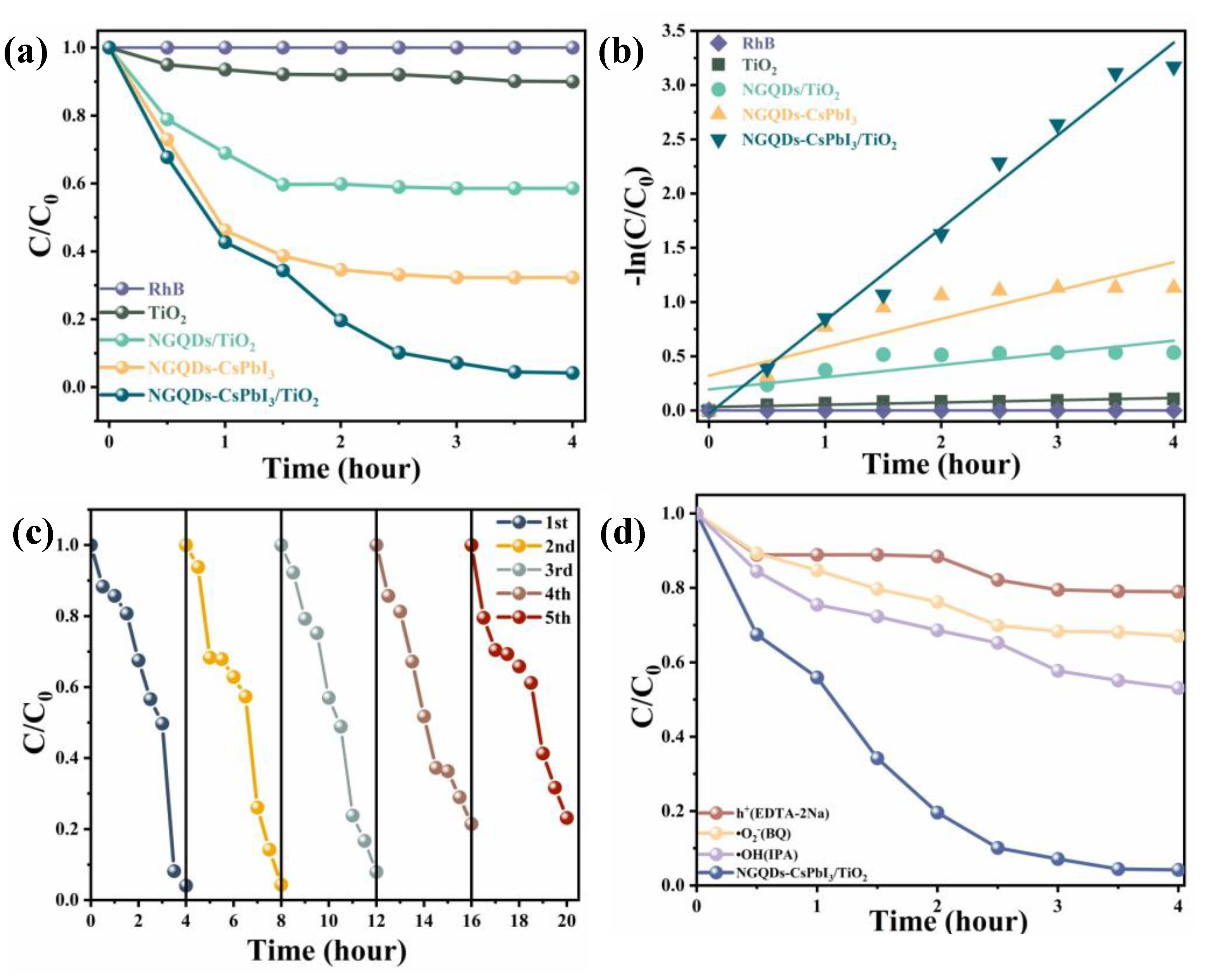 Molecules 28 07310 g005