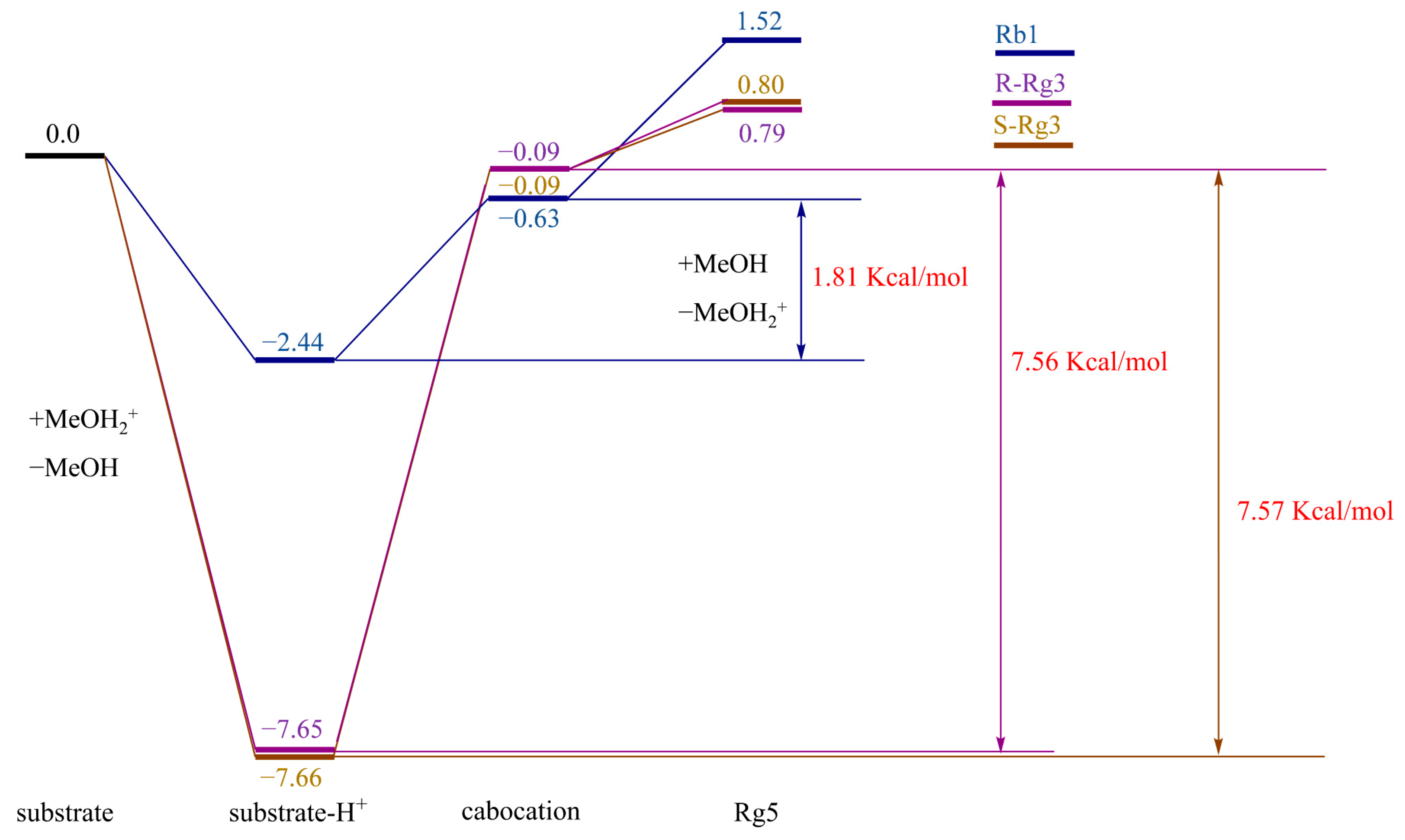Molecules 28 07313 g005