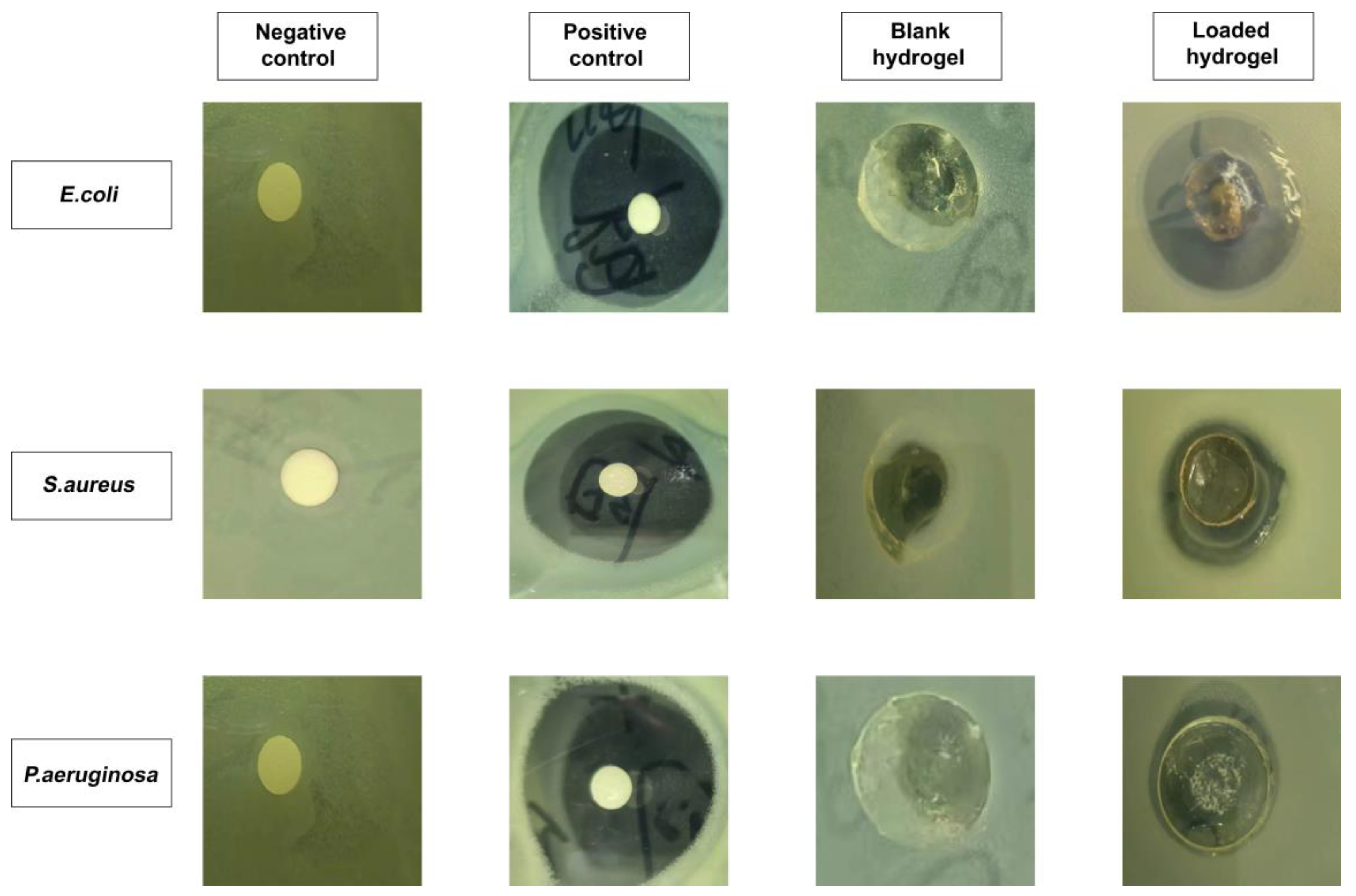 Molecules 28 07320 g012 Molecules 28 07320 g012