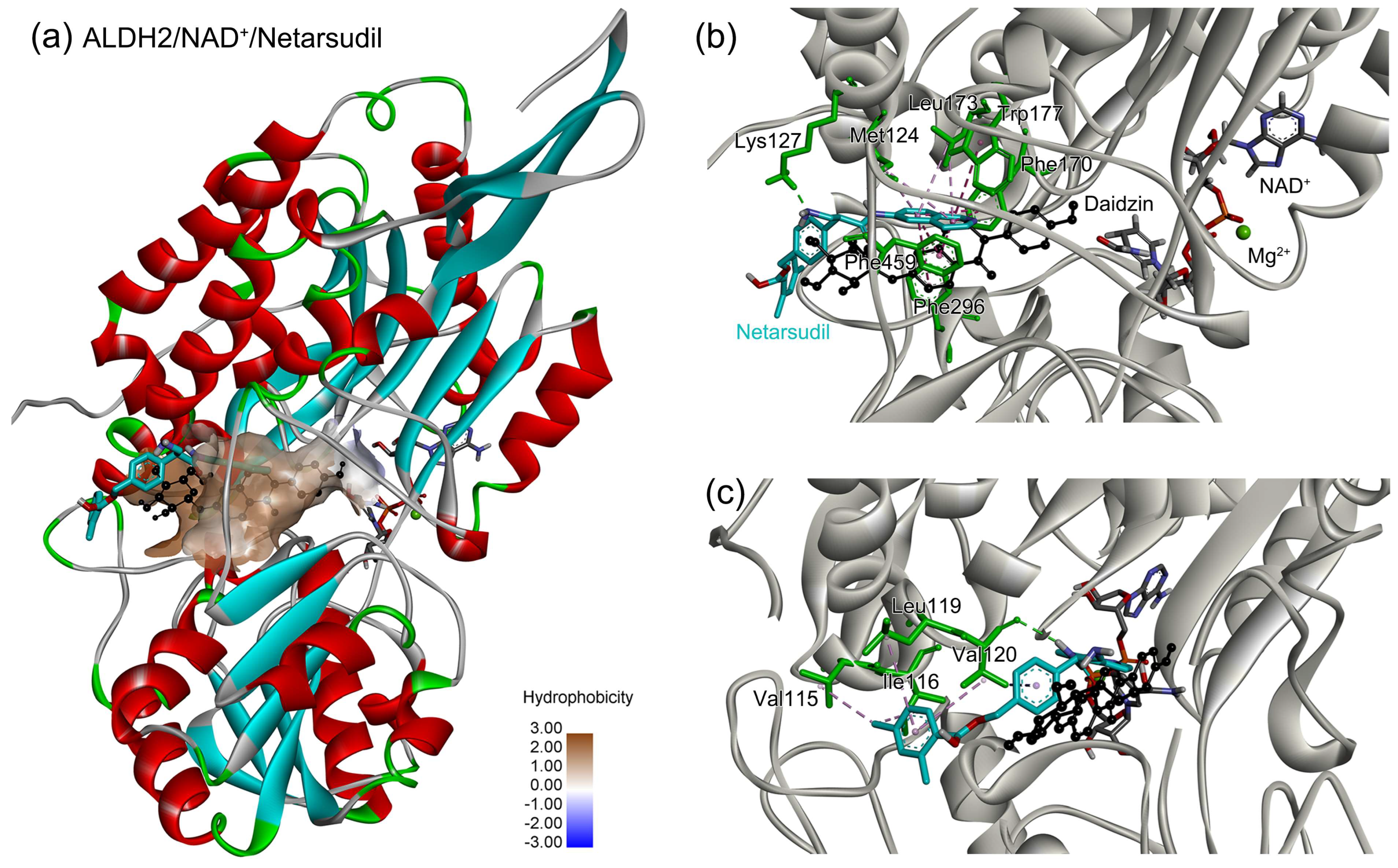 Molecules 28 07325 g004