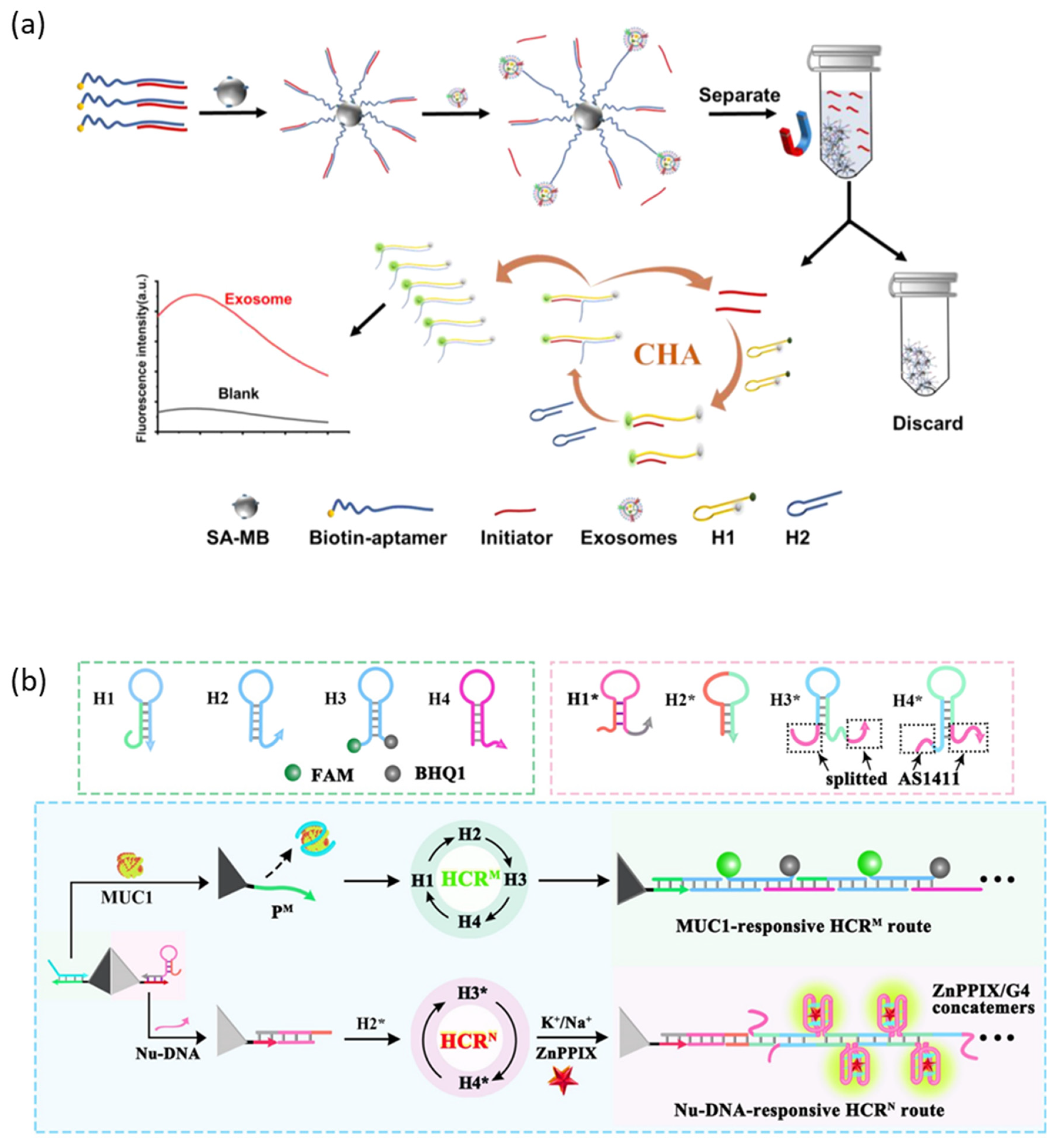 Molecules 28 07327 g005