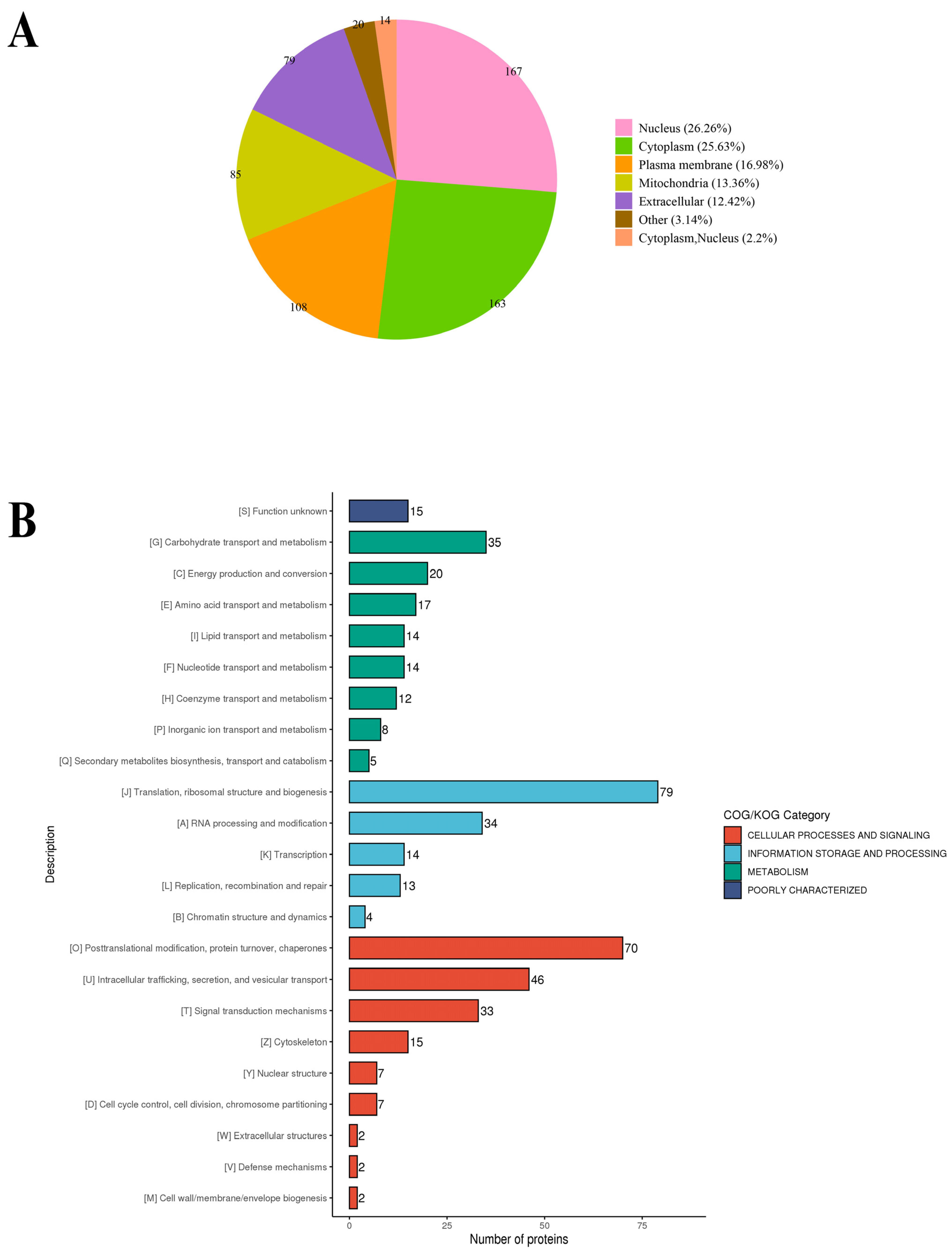 Molecules 28 07329 g004 Molecules 28 07329 g004