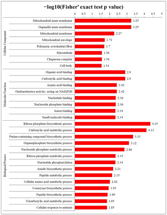 Global Proteome-Wide Analysis of Cysteine S-Nitrosylation in
