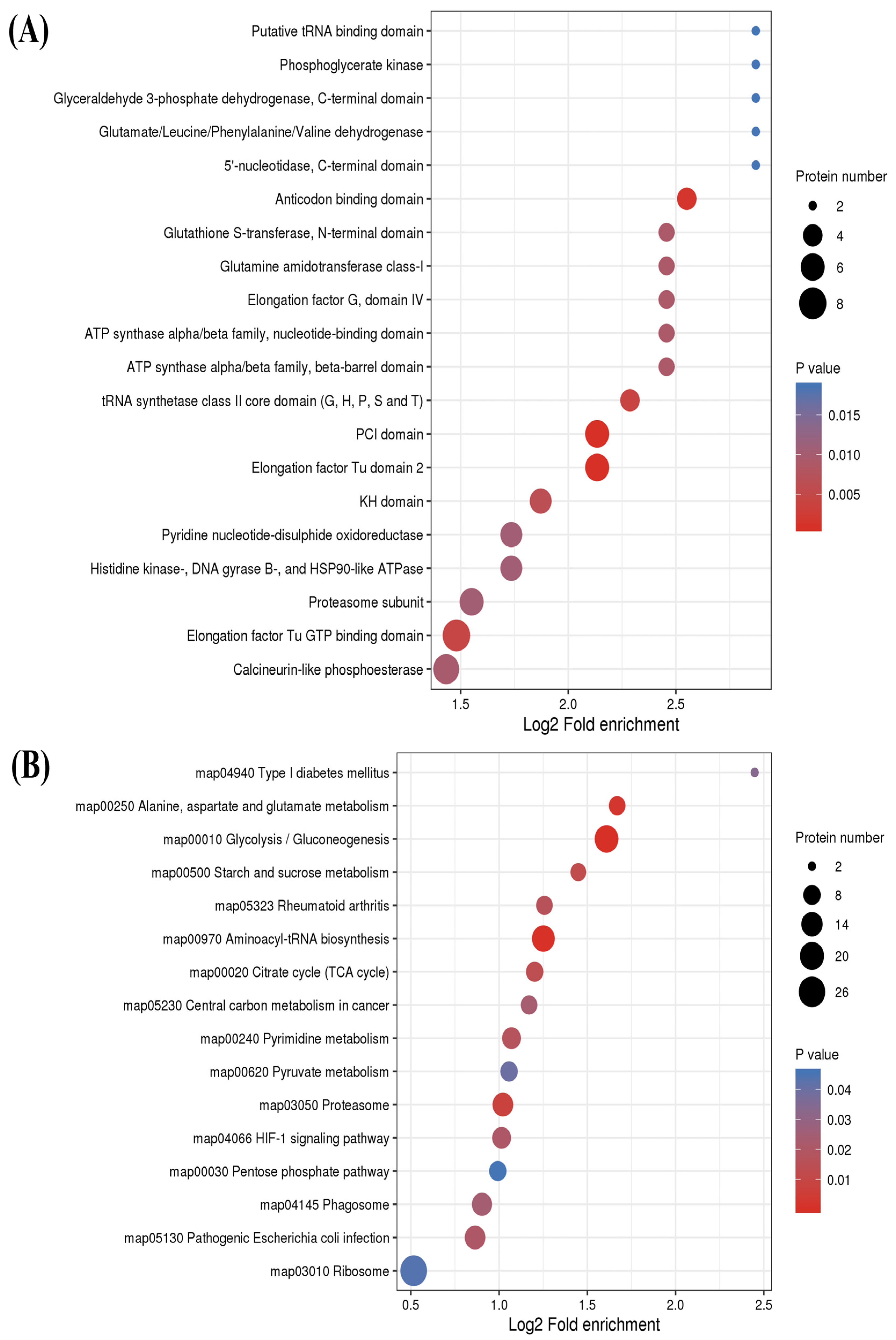 Molecules 28 07329 g006 Molecules 28 07329 g006