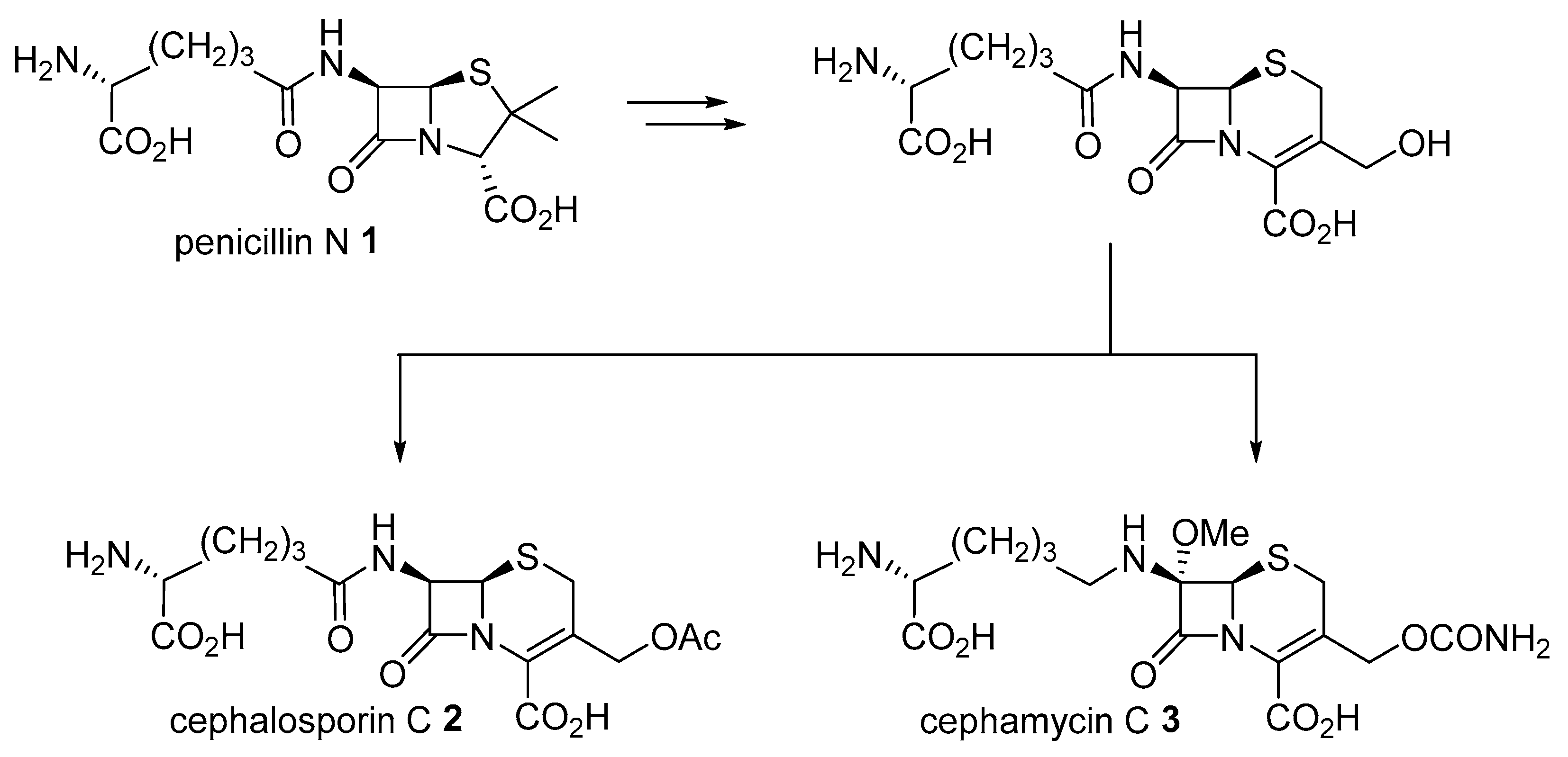 Molecules 28 07338 sch001