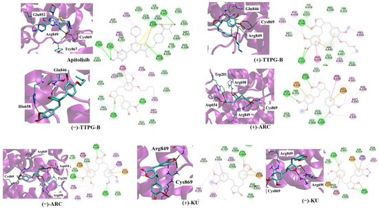 Trans-(±)-TTPG-B Attenuates Cell Cycle Progression and Inhibits